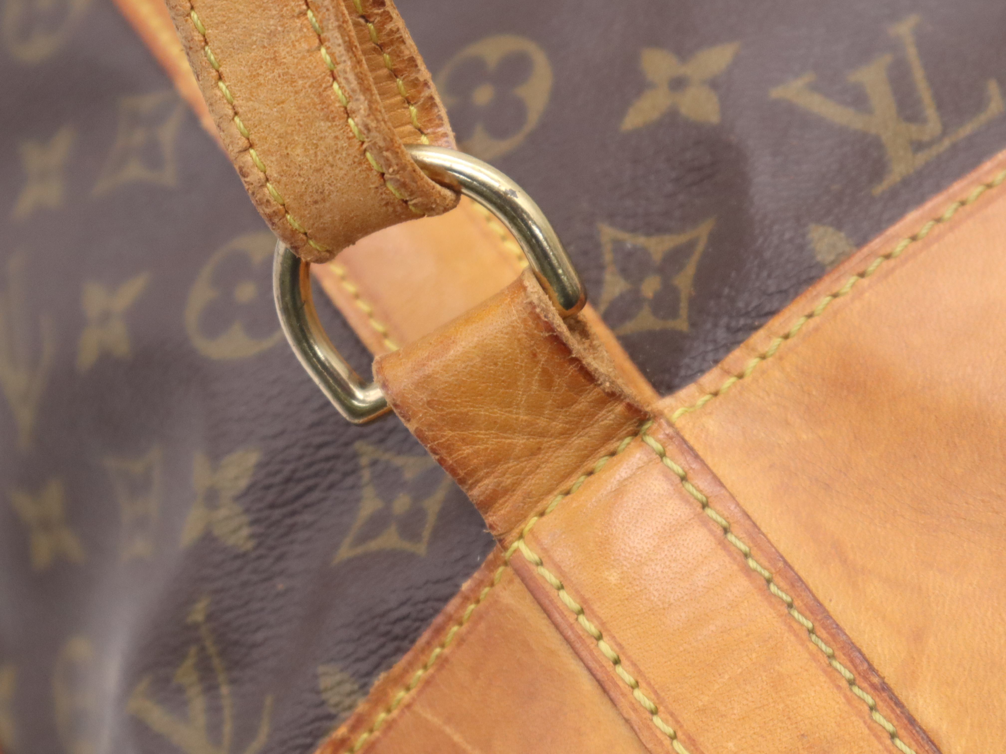 M42244 Monogram Randonee GM Shoulder Bag — view 7