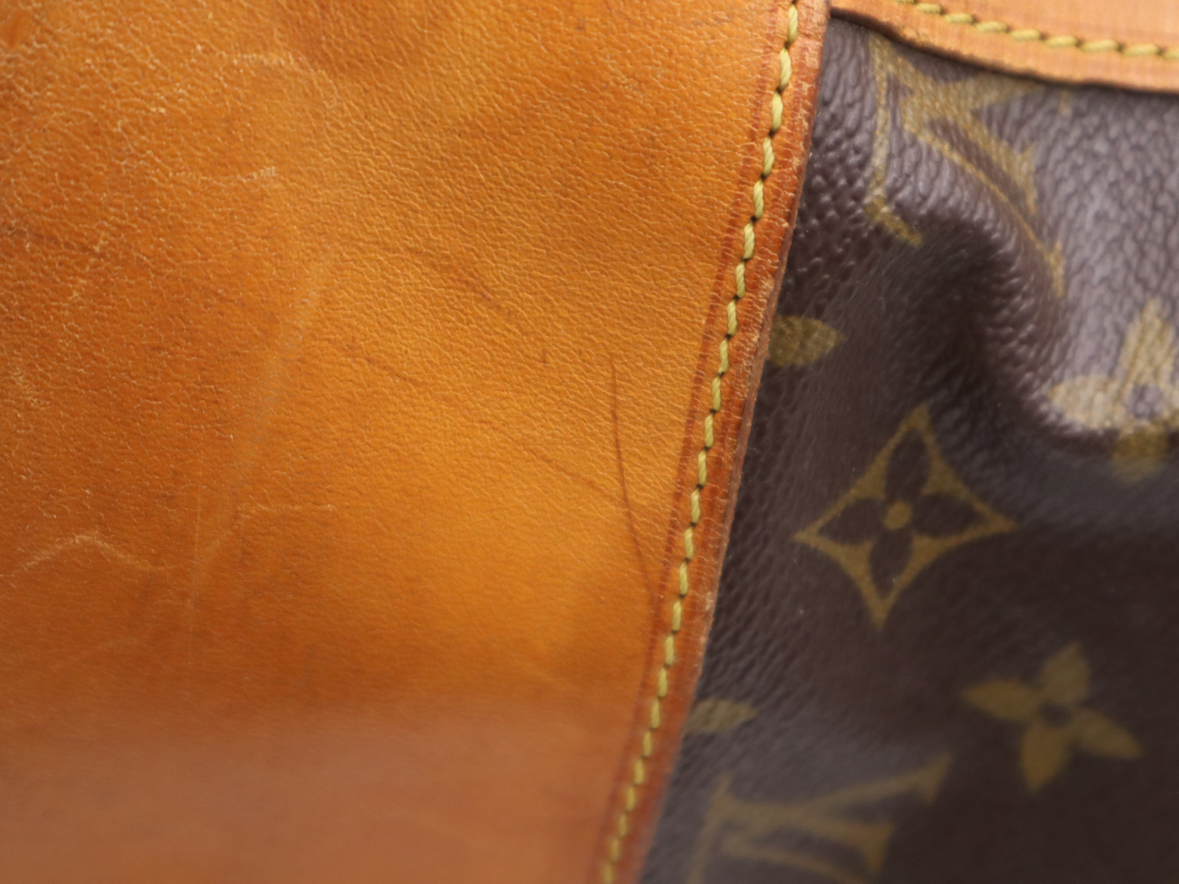 M42244 Monogram Randonee GM Shoulder Bag — view 9