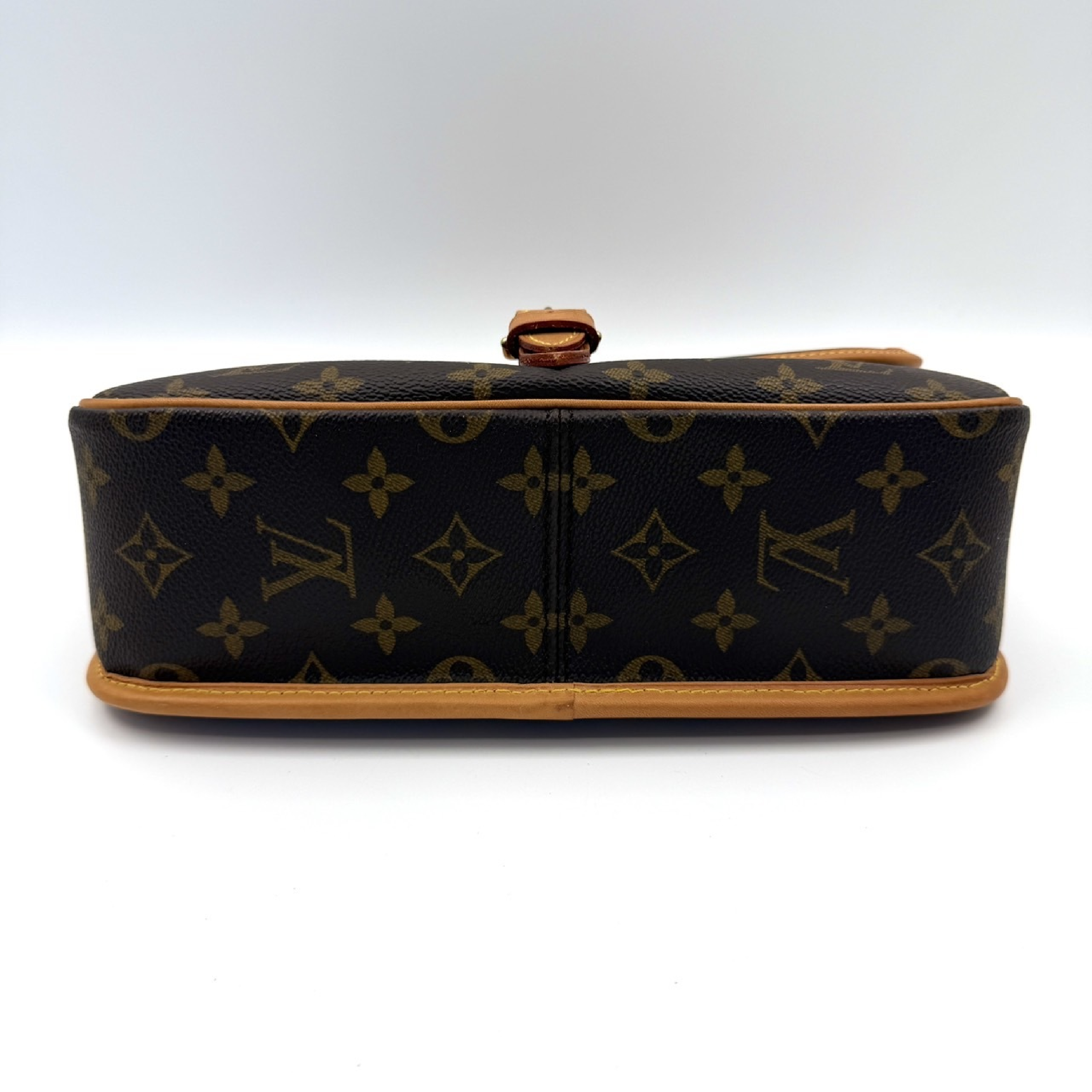 Monogram Sologne Shoulder Bag — view 3