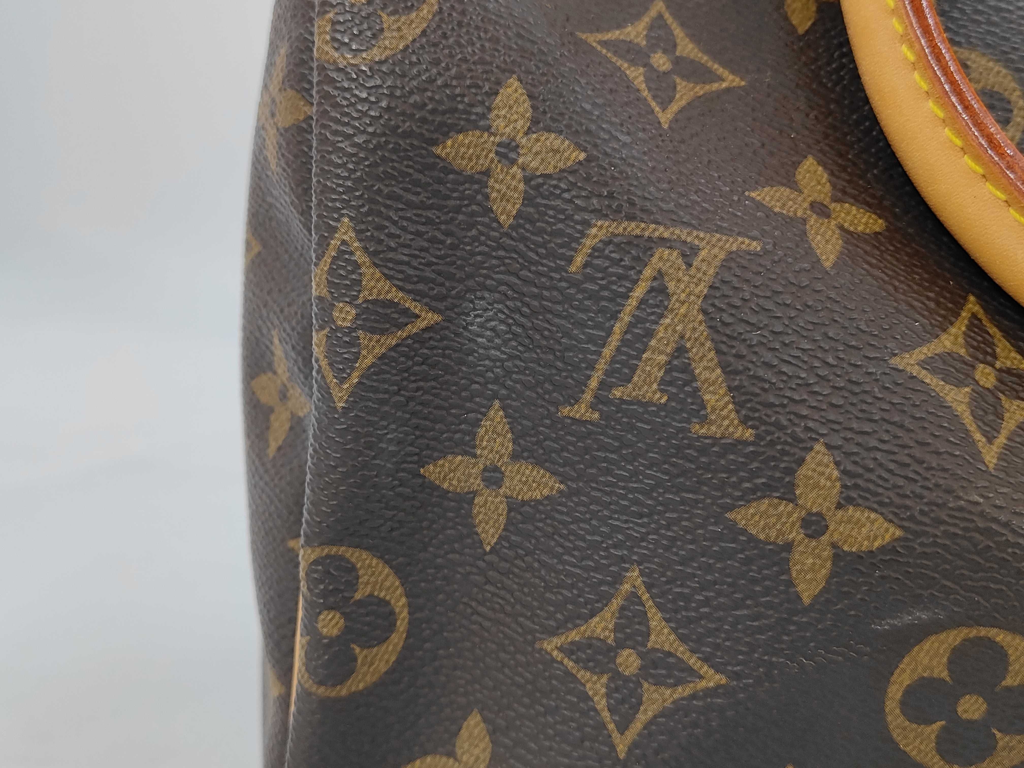 LV Monogram Speedy 25 Handbag — view 4