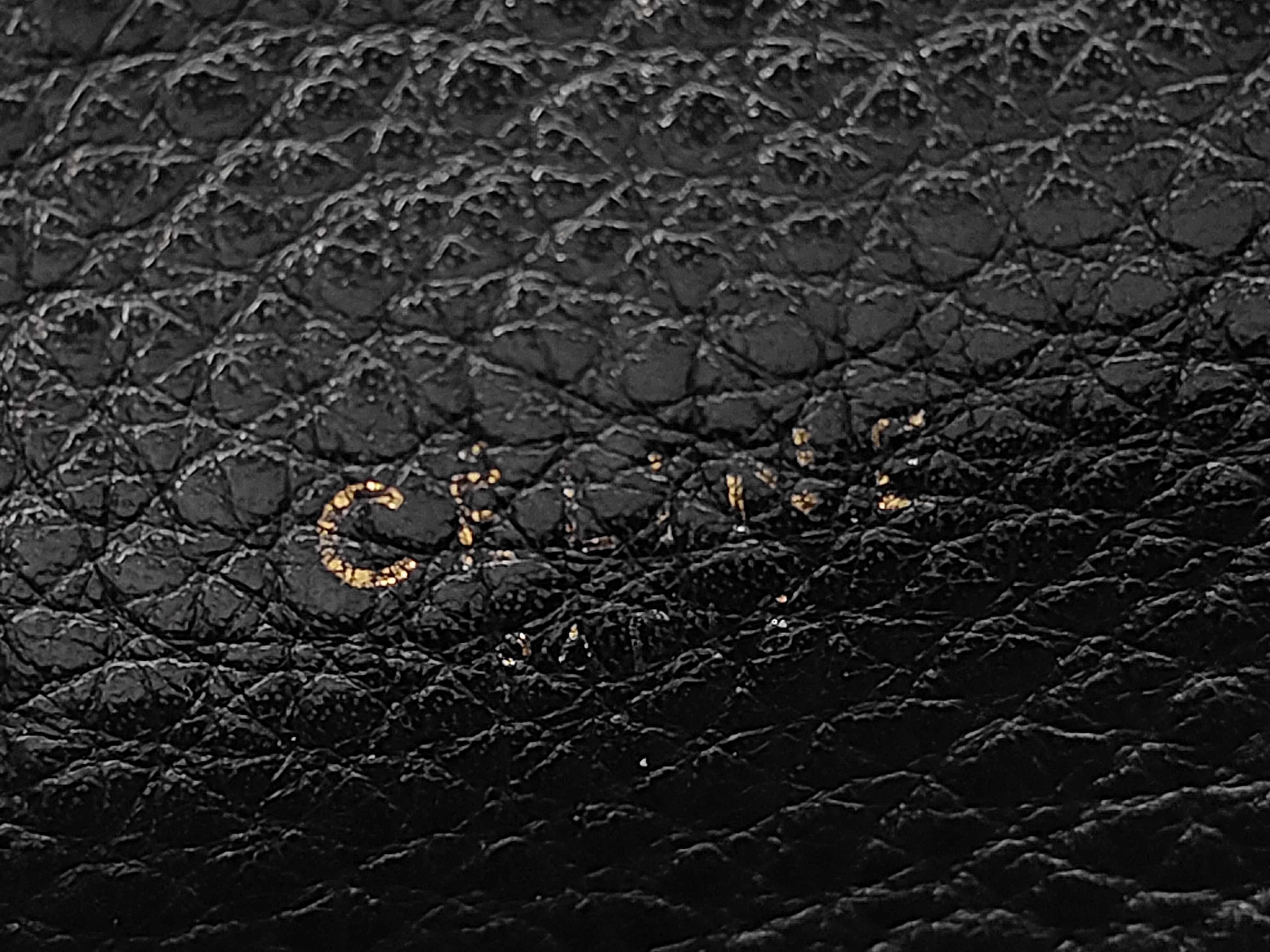 Cabas Phantom Small Grain Leather Tote Bag — view 11