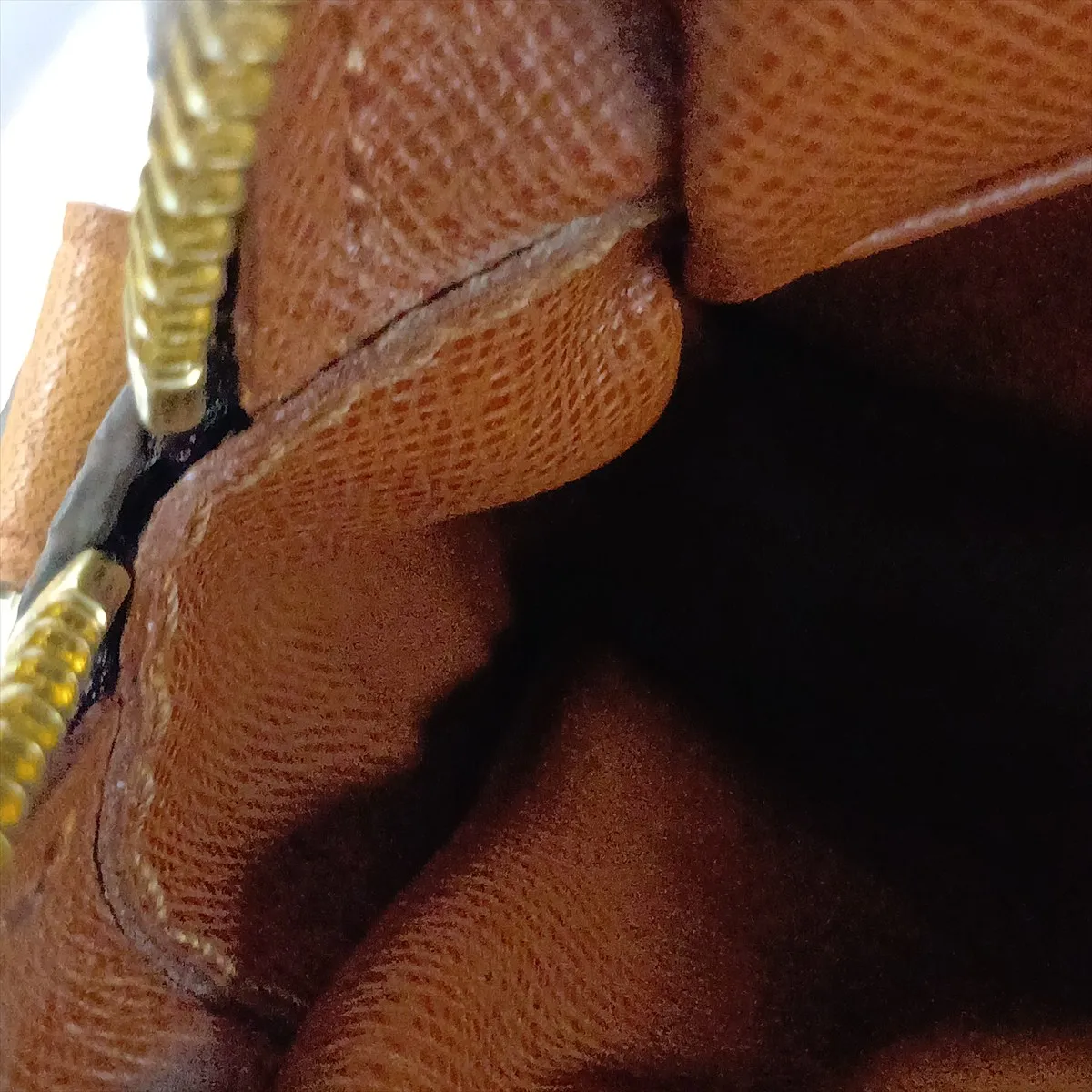Monogram Amazon M45236 TH1909 Brown — view 11