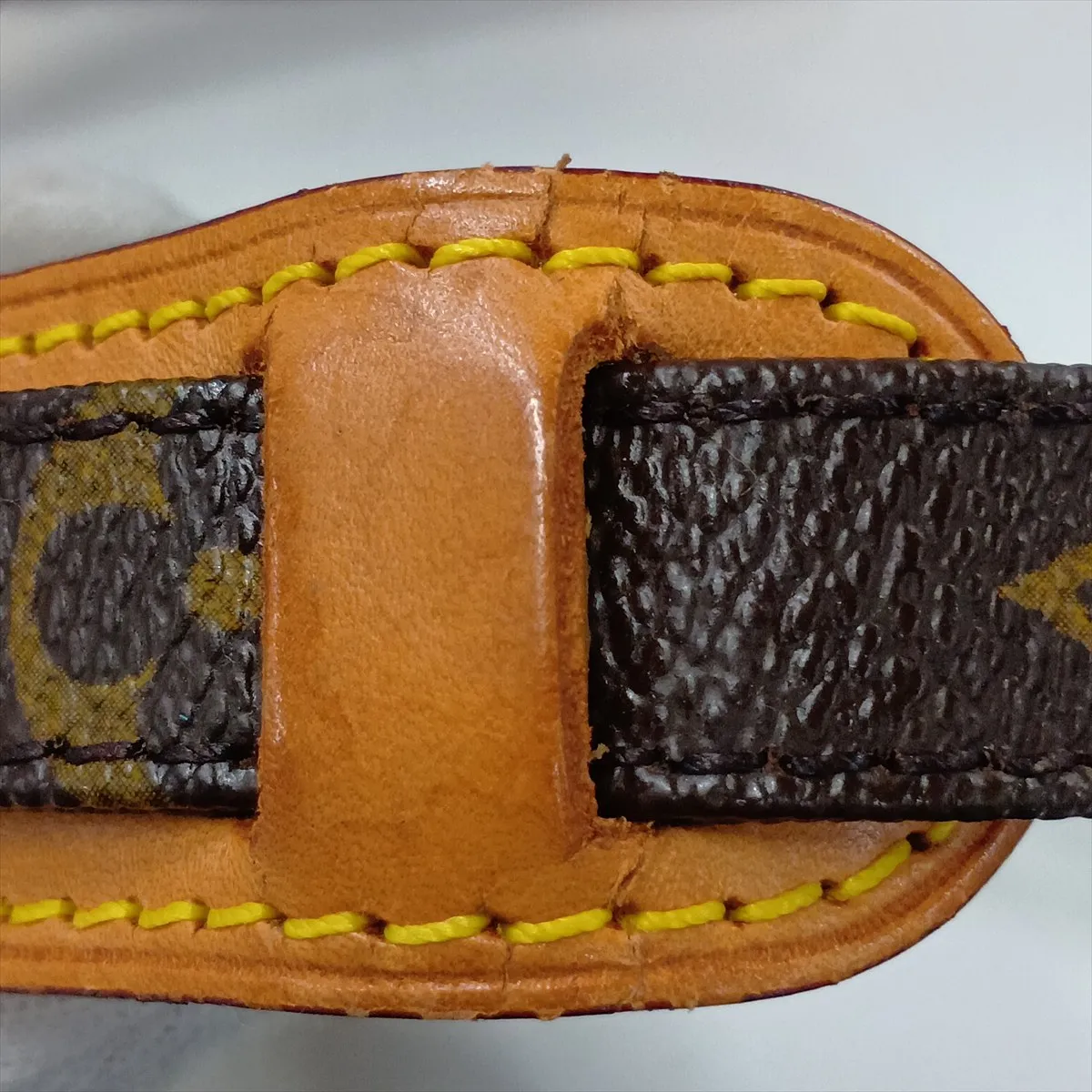 Monogram Amazon M45236 TH1909 Brown — view 13
