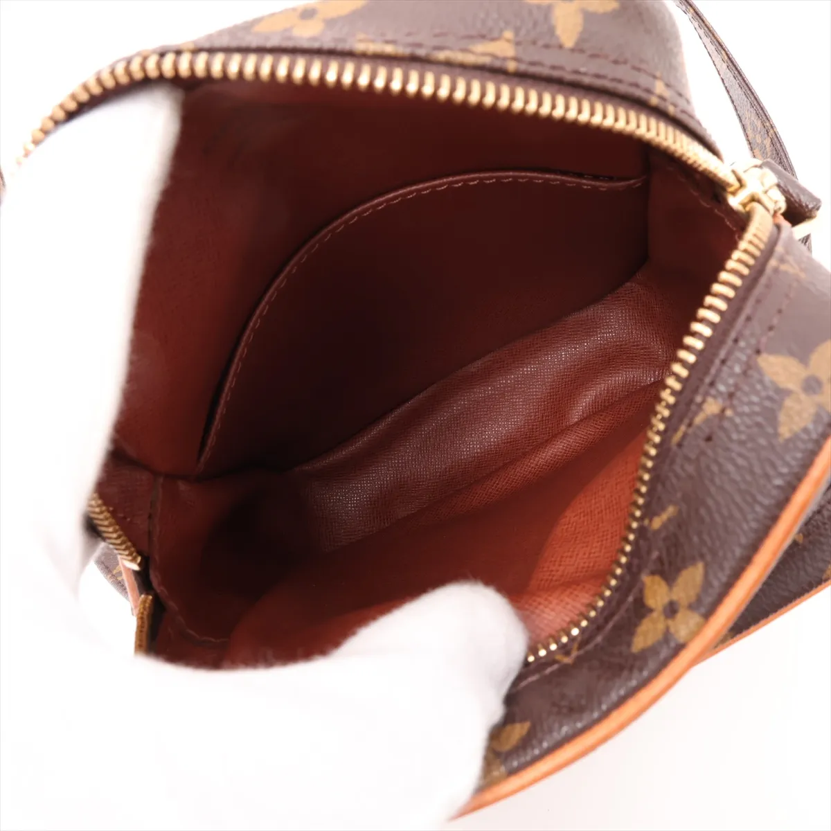 Monogram Amazon M45236 TH1909 Brown — view 6