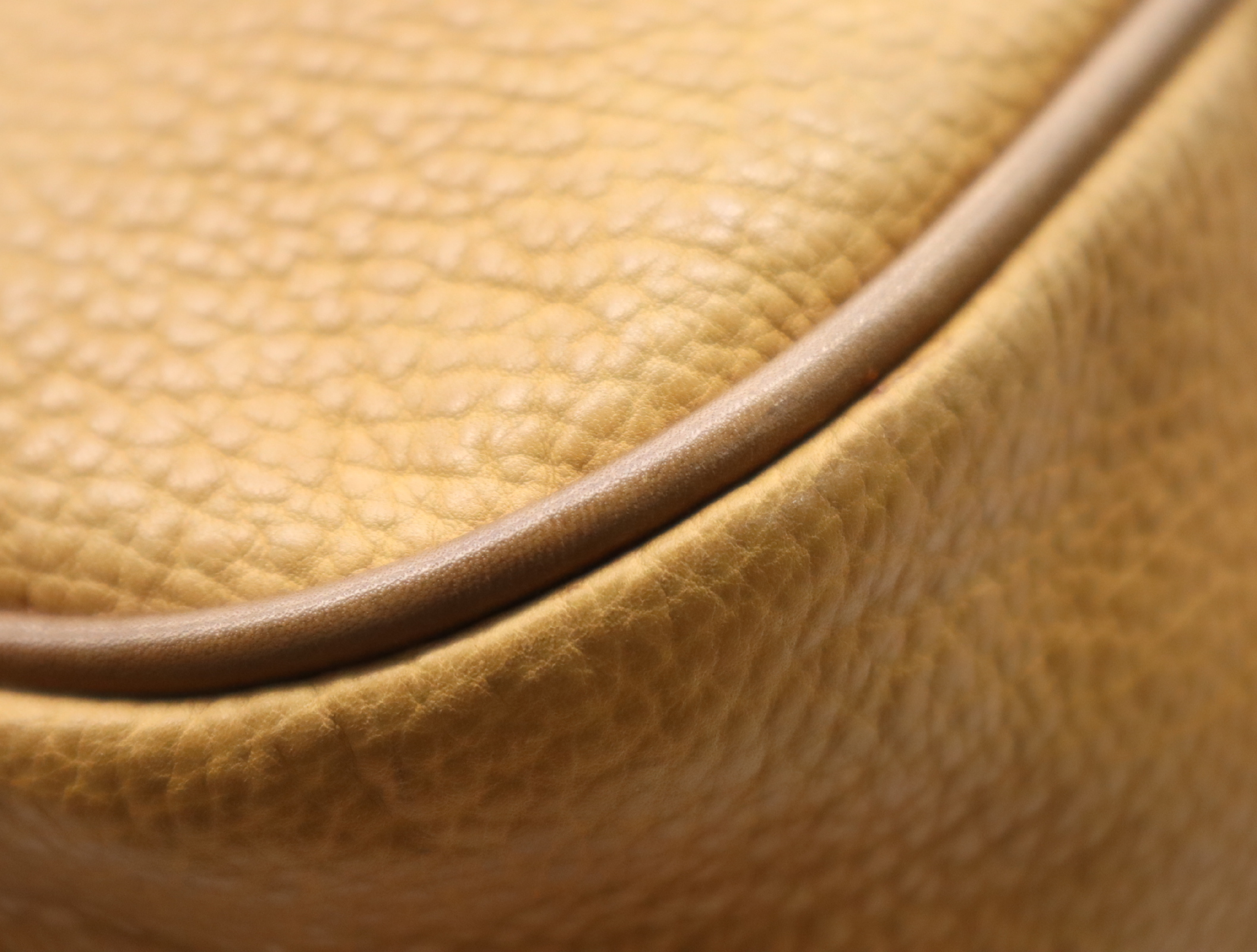 Leather Amazona Boston Bag, Brown, Gold Hardware — view 11