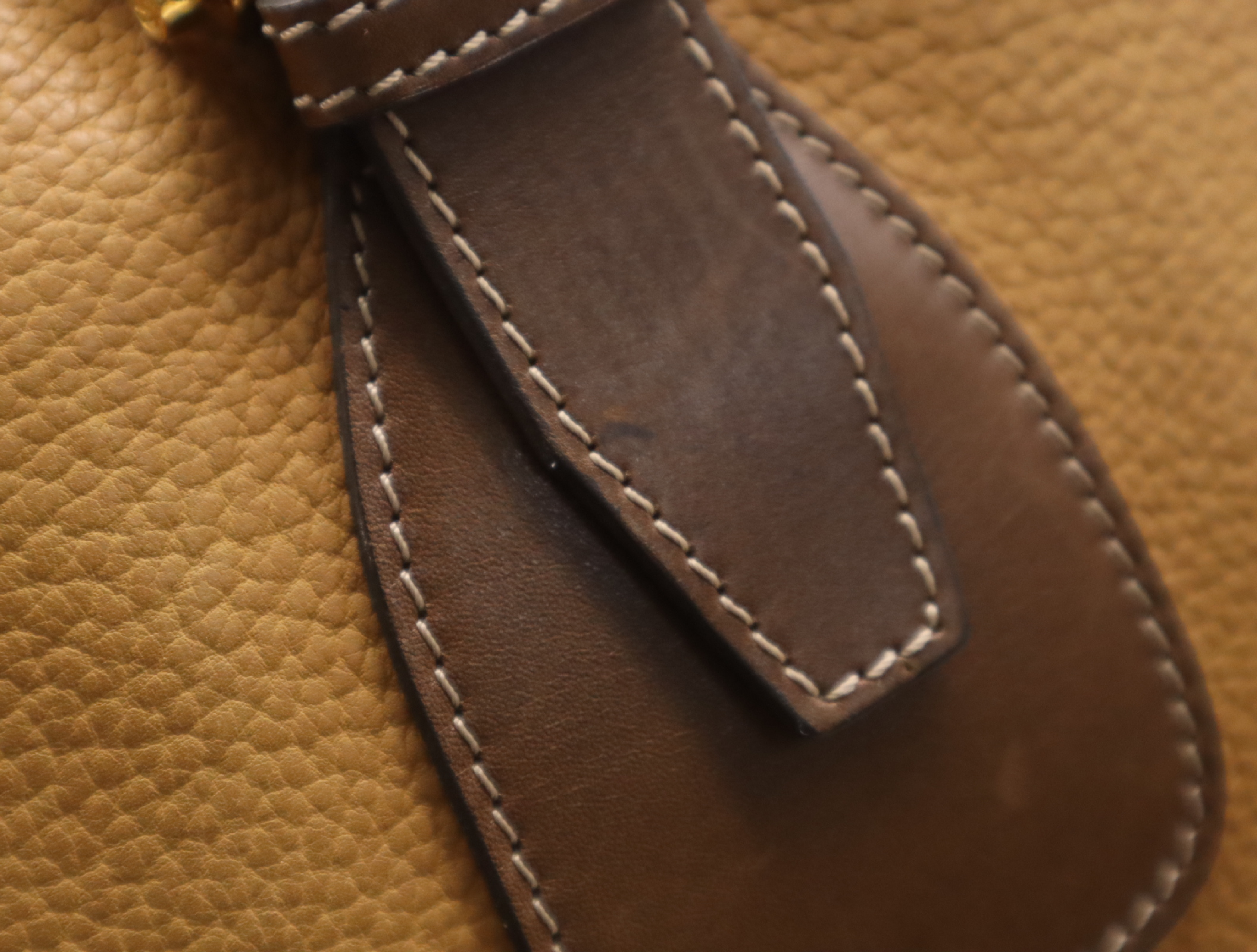 Leather Amazona Boston Bag, Brown, Gold Hardware — view 15