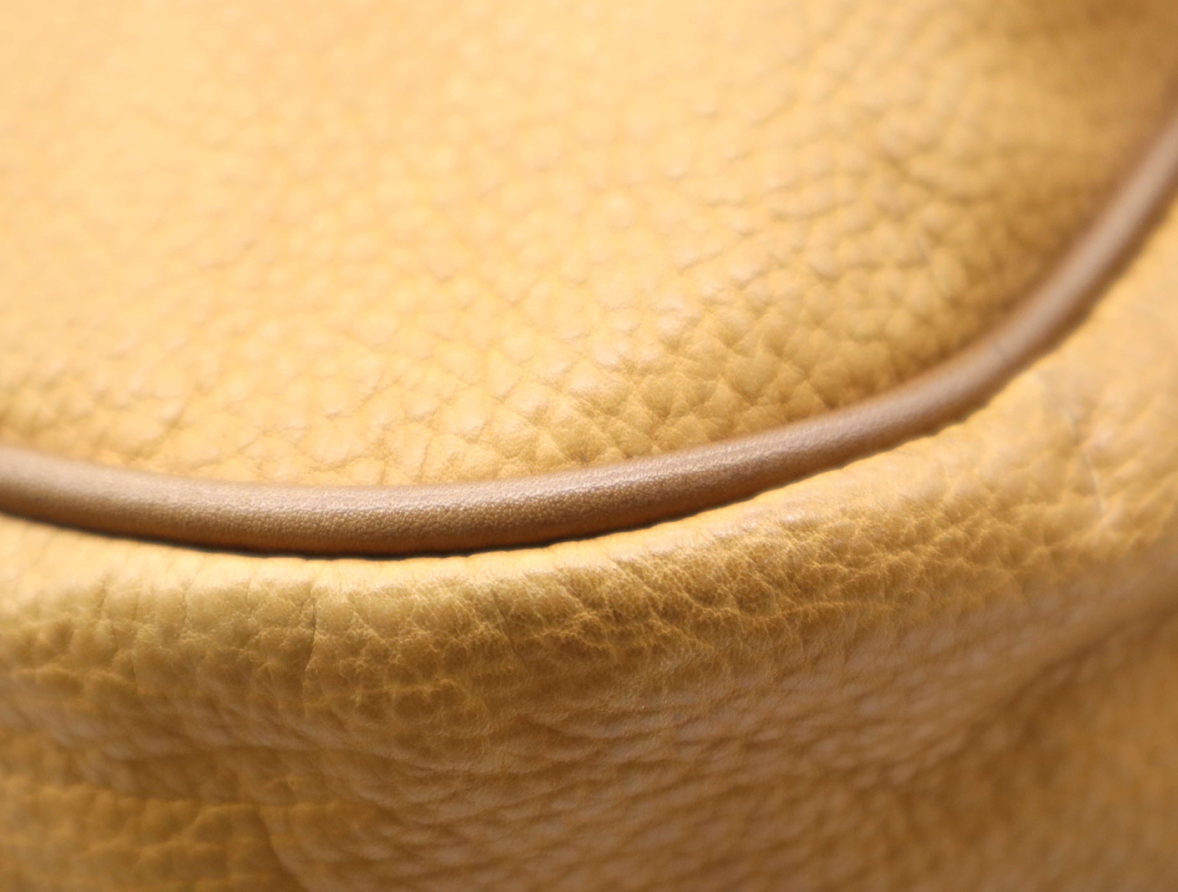 Leather Amazona Boston Bag, Brown, Gold Hardware — view 8