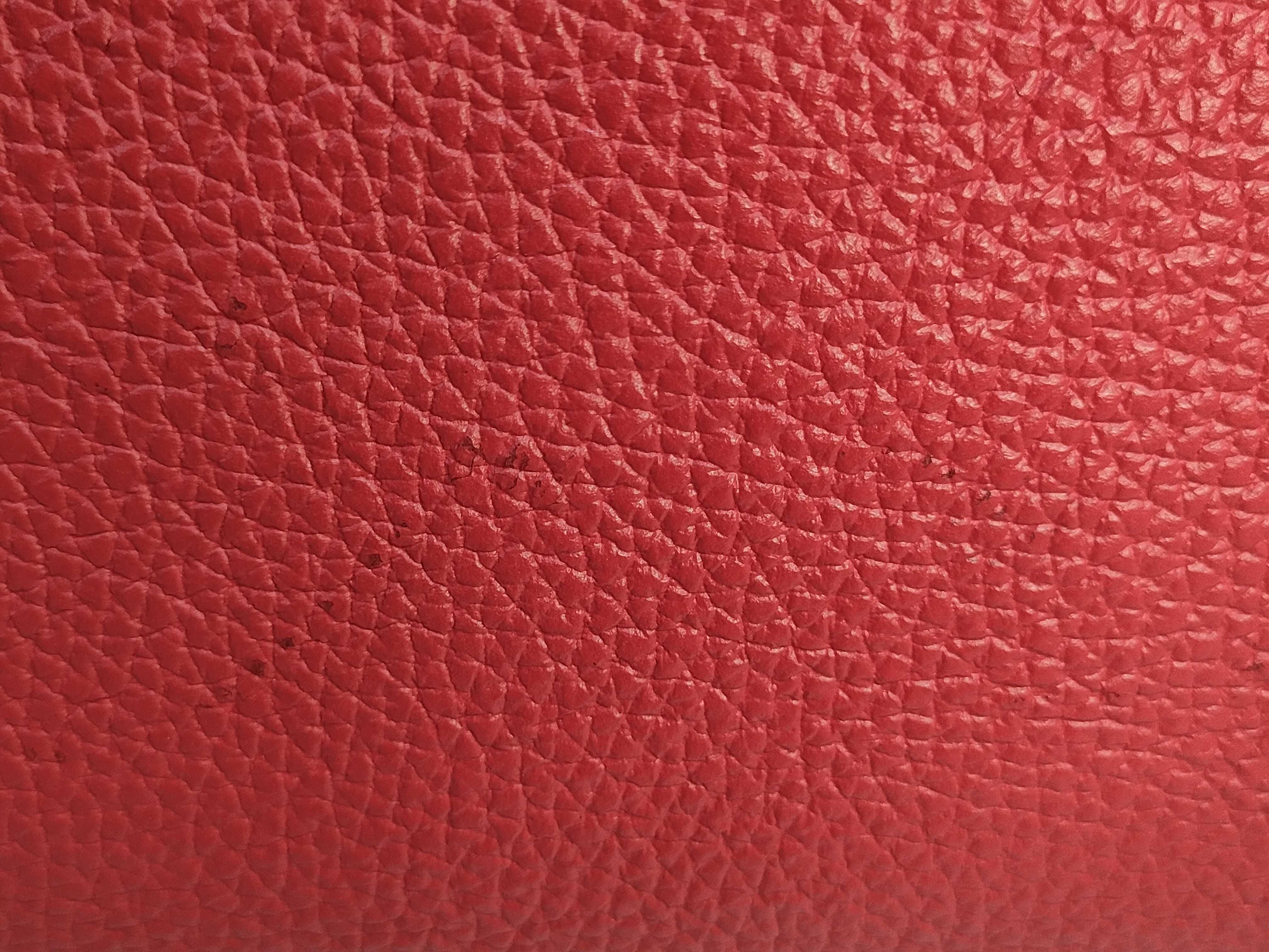 GG Logo Shima Red Crossbody Bag (Handbag) — view 11
