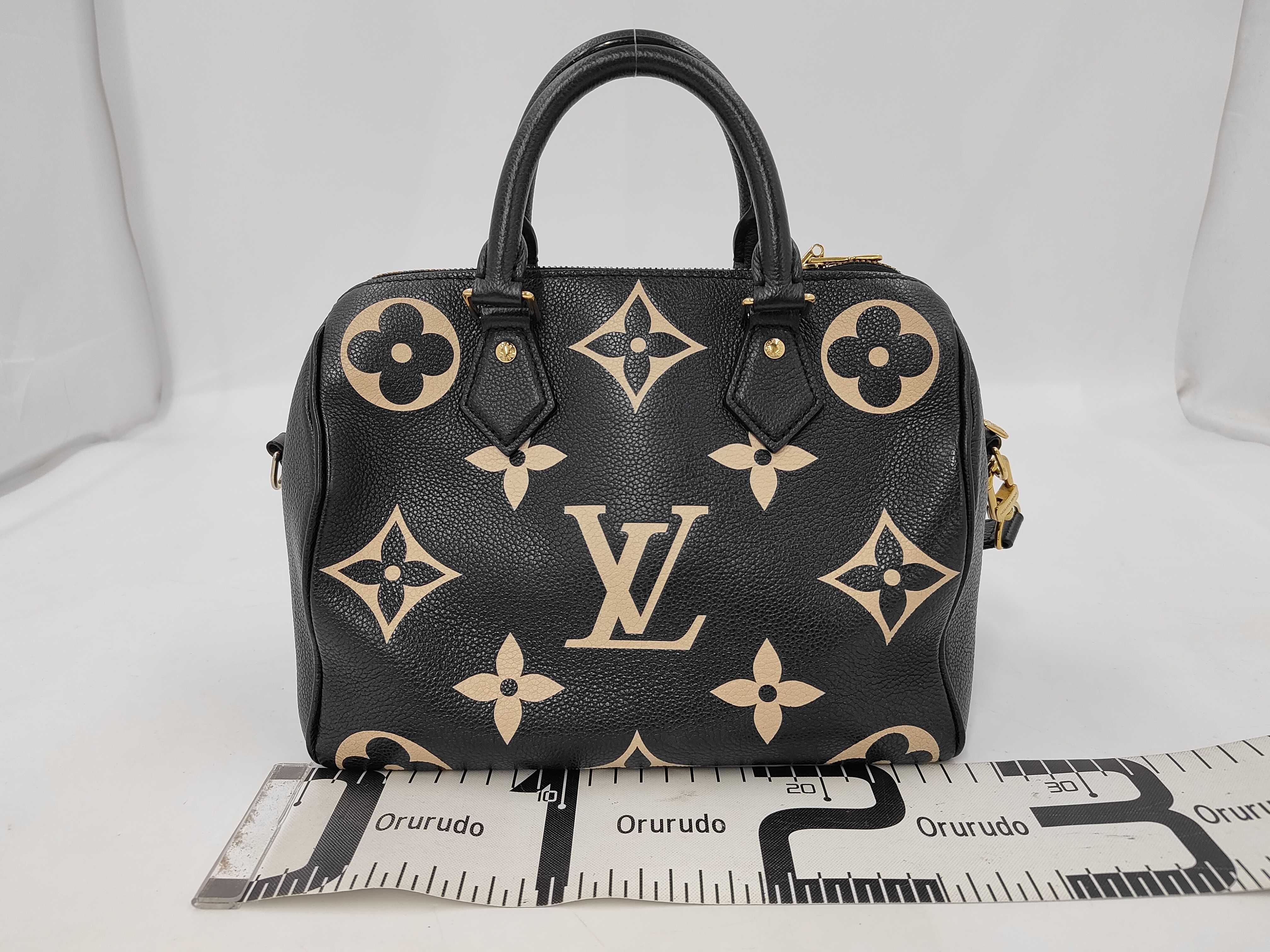 Empreinte Speedy Bandoulière 25 M58947 IC ST Handbag — view 2