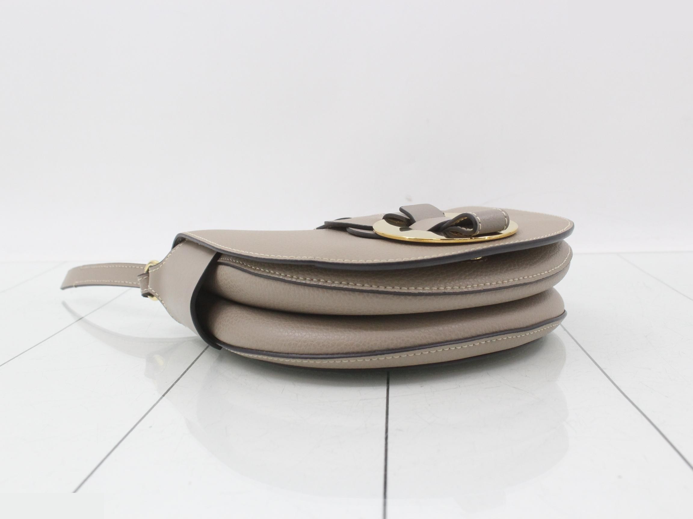 Daryl Small Saddlebag, Greige, Shoulder Bag — view 5