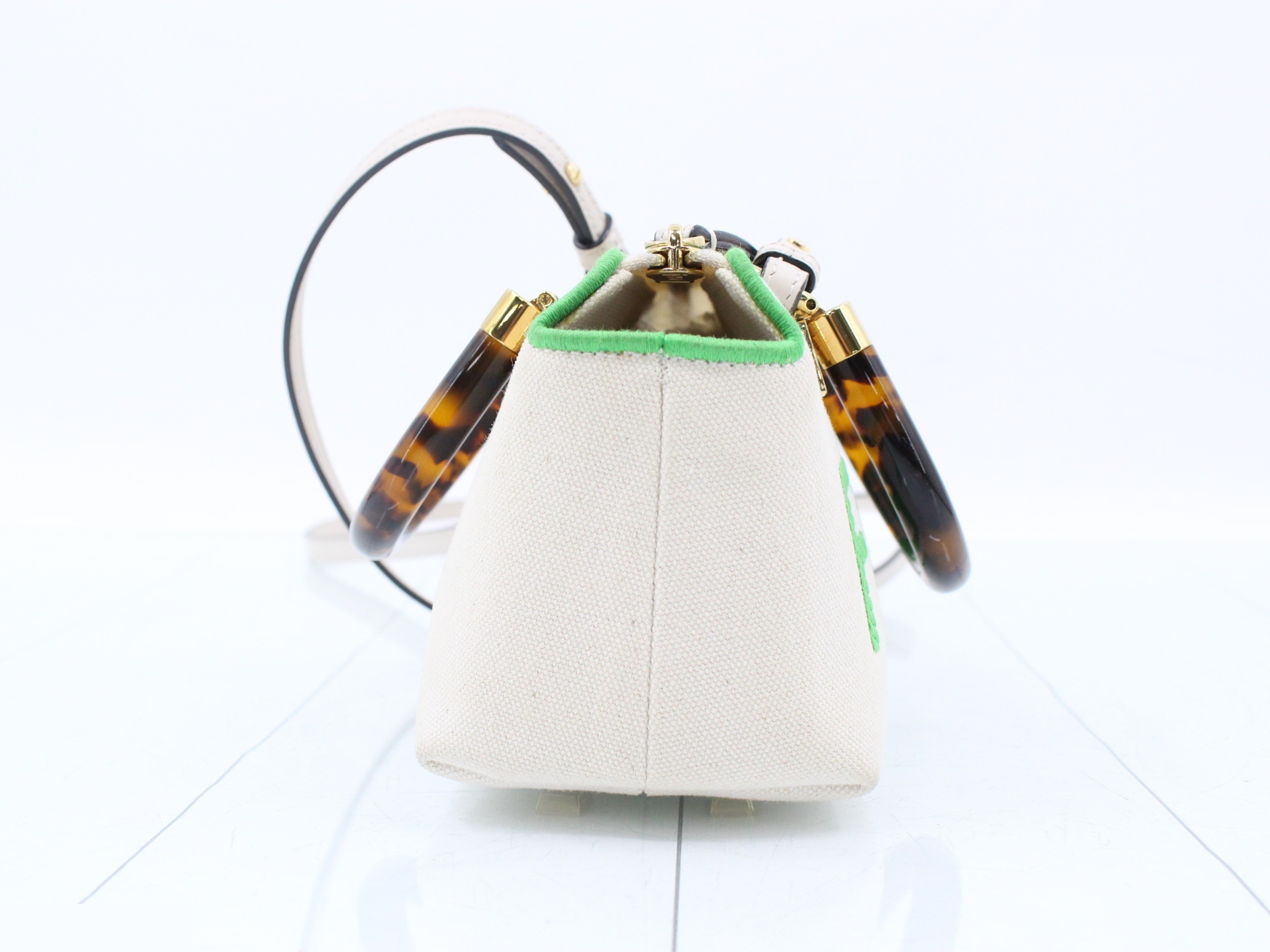 Visible Mini Canvas 2WAY Shoulder/Handbag — view 4
