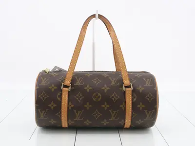 M51386 Papillon 26
