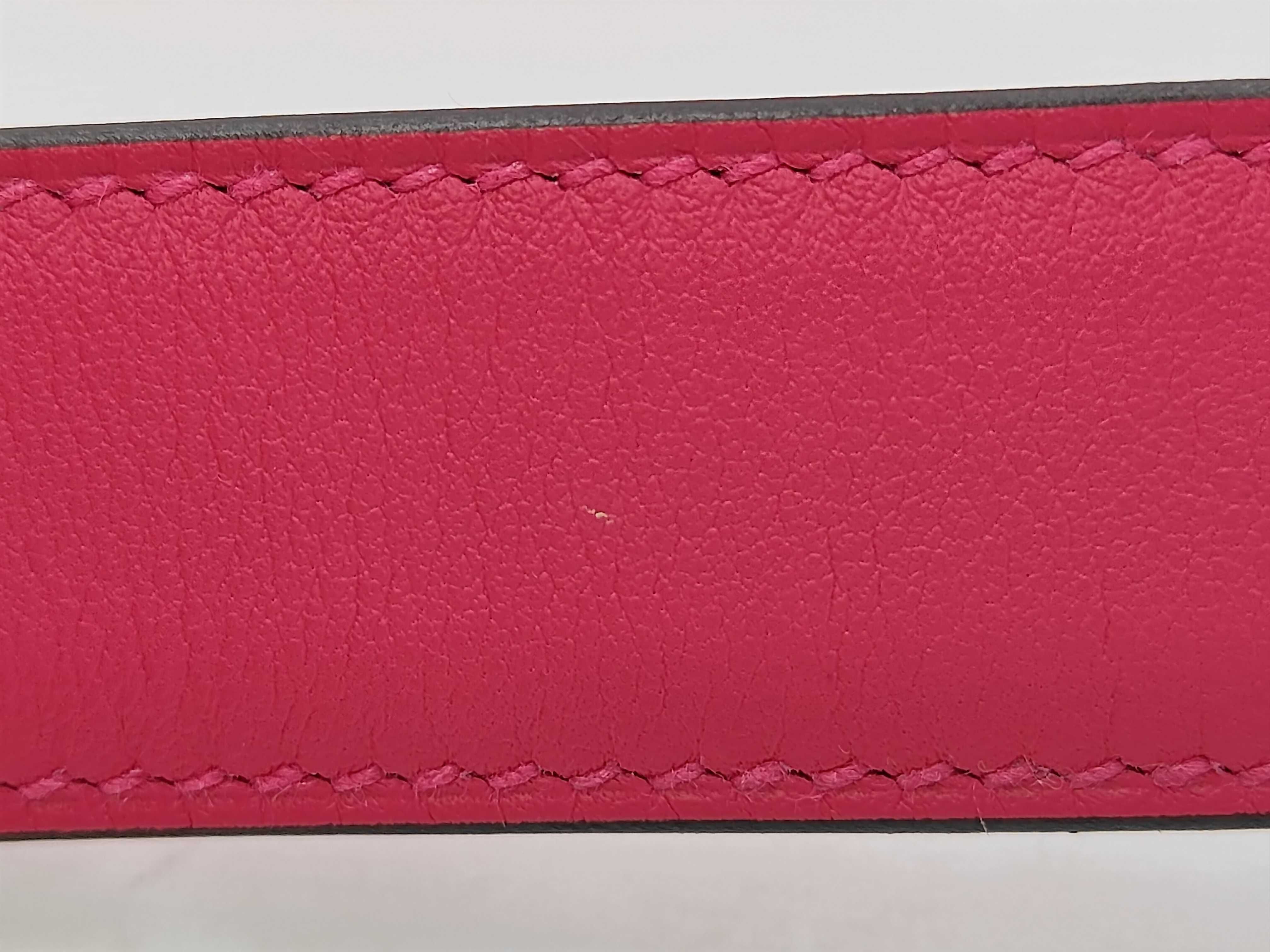 Lindy Mini Swift Verso Rose Mexico x Rouge Piment Z-stamped handbag — view 6