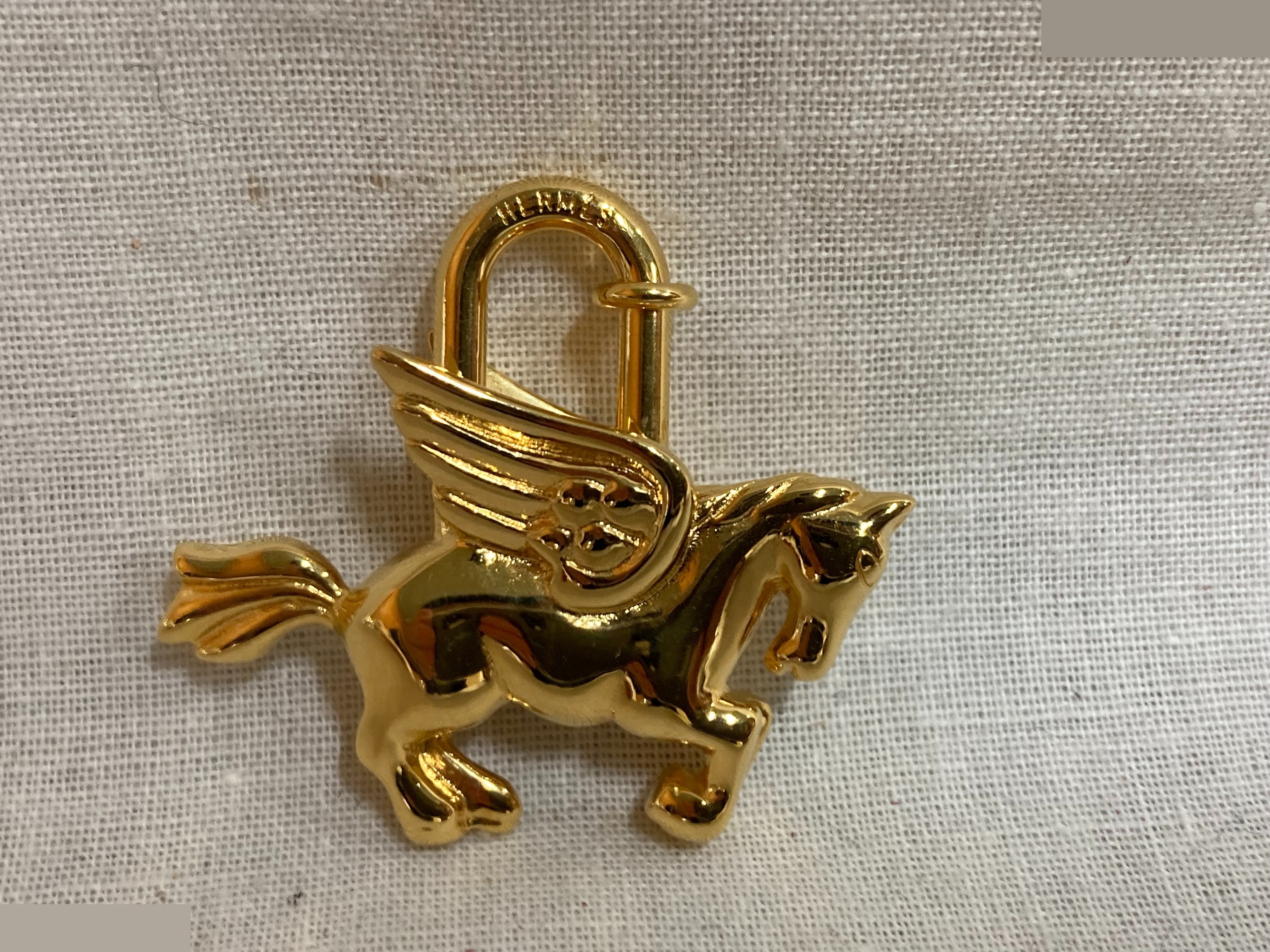 Cadena Pegasus — view 2
