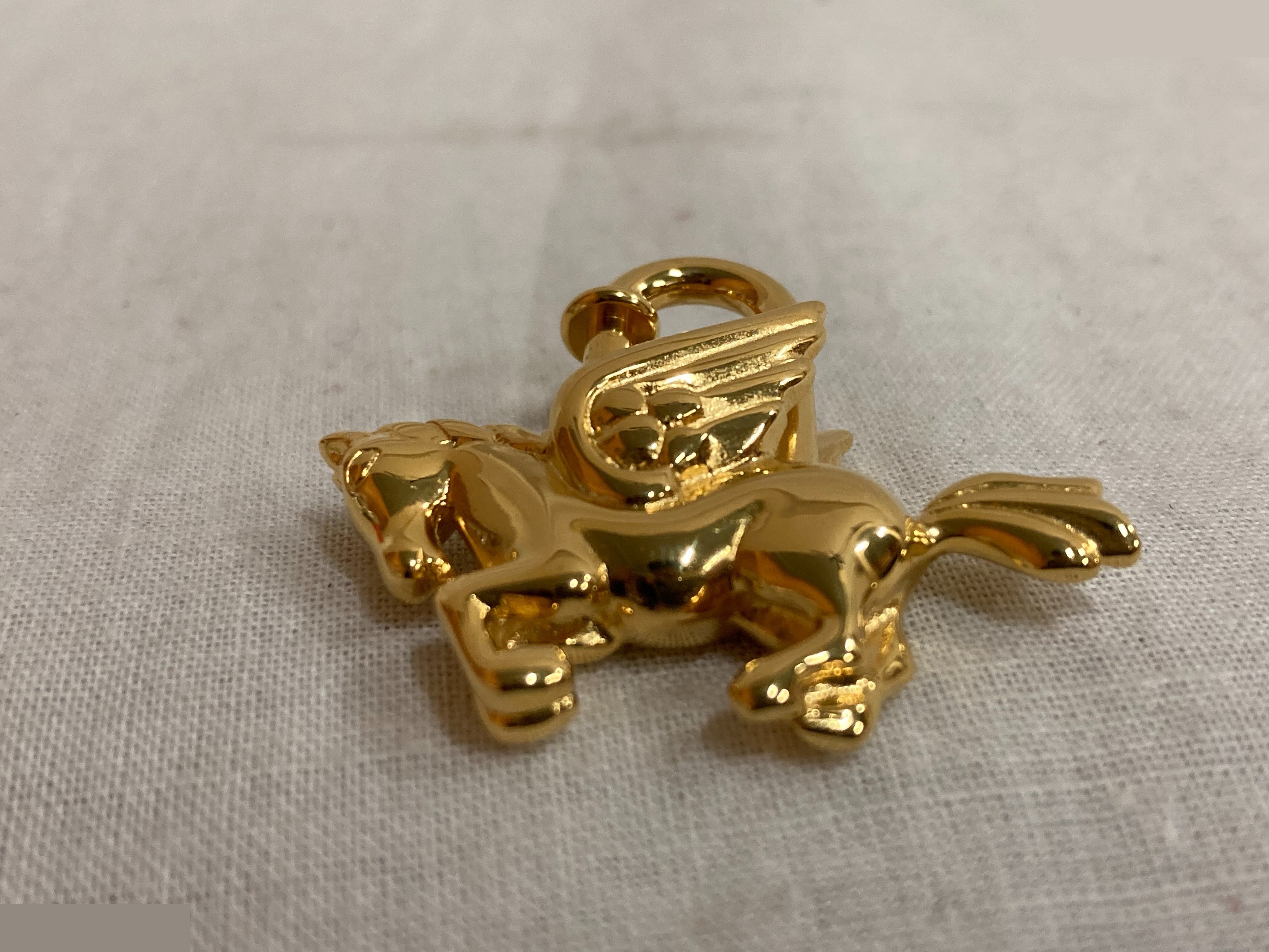 Cadena Pegasus — view 4