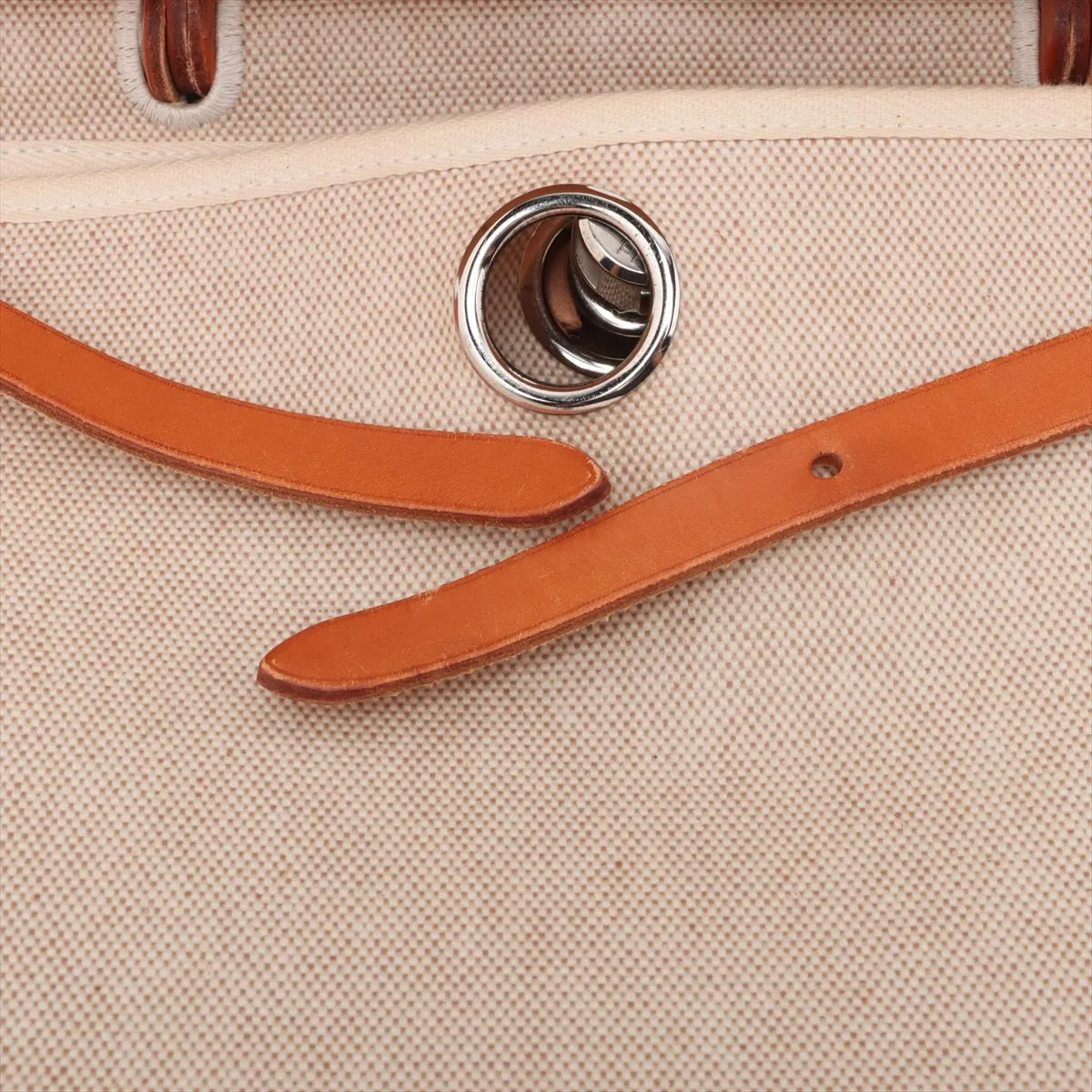 Ale Bag Zip GM Toile Ash x Vash Hunter Beige x Brown Silver hardware B:1998 — view 13