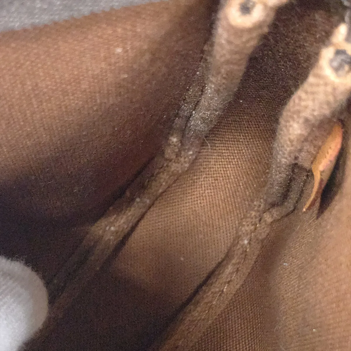 Monogram Pochette Accessoires M51980 SL1908 Brown — view 10