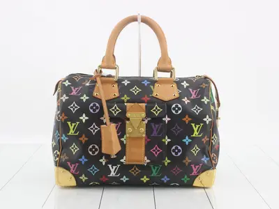 Monogram Multicolor Speedy 30 Noir Handbag