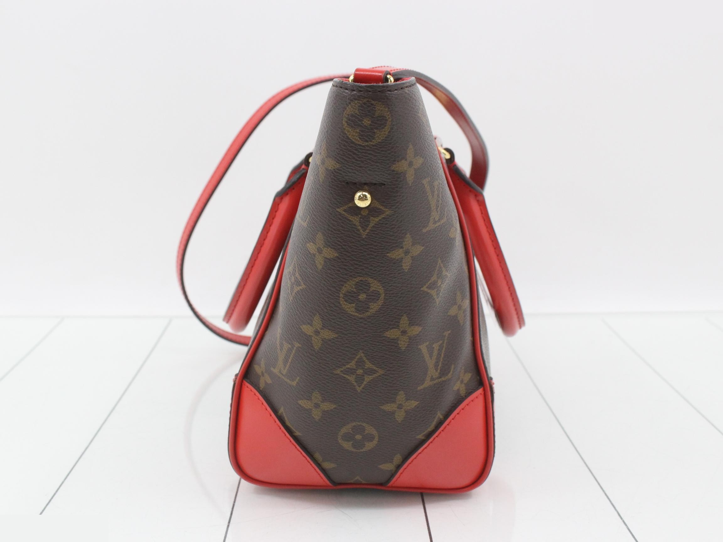 Phoenix PM Coquelicot 2-Way Shoulder/Handbag — view 4