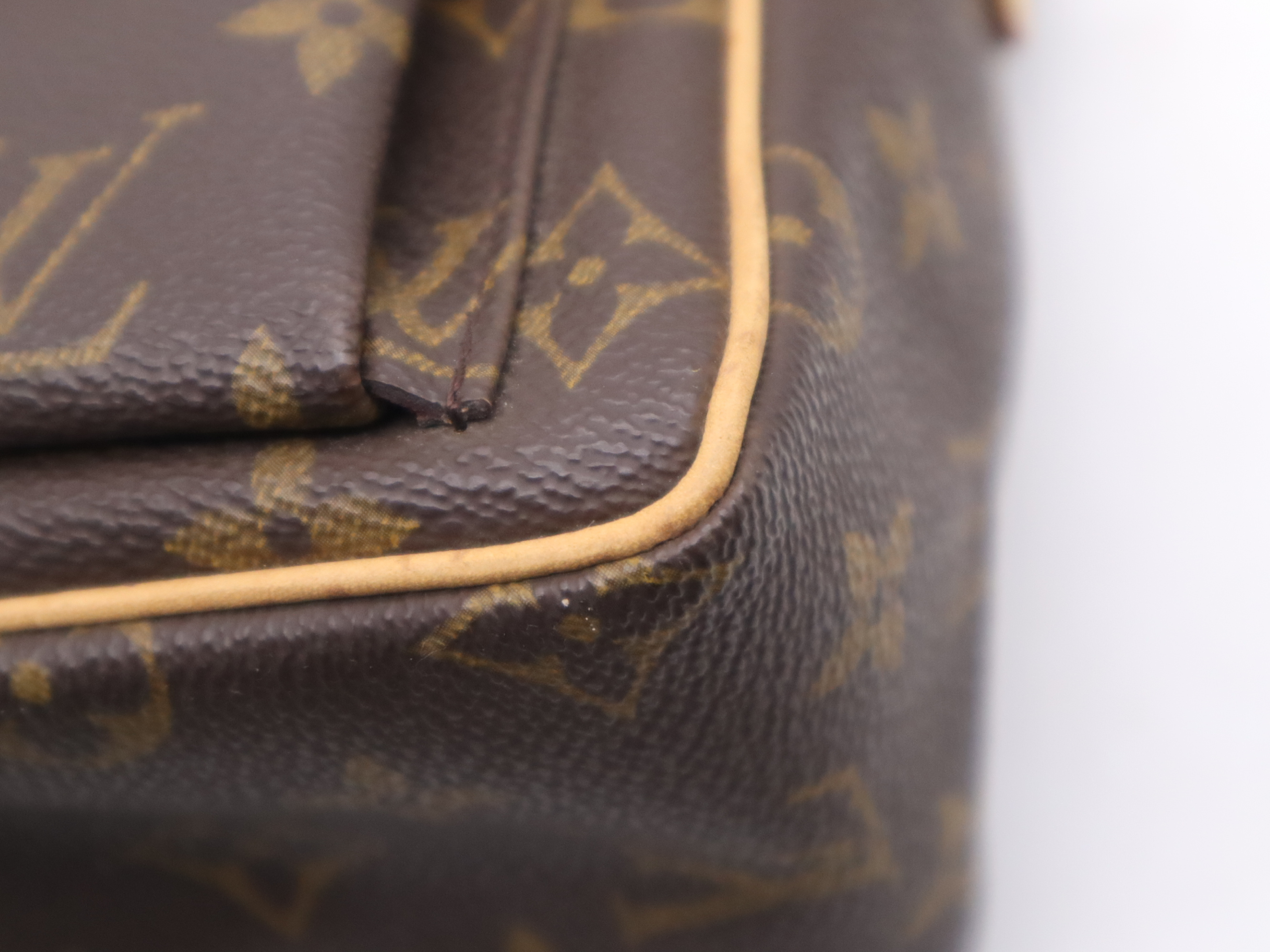 M51165 Monogram Viva Cite PM Shoulder Bag — view 9