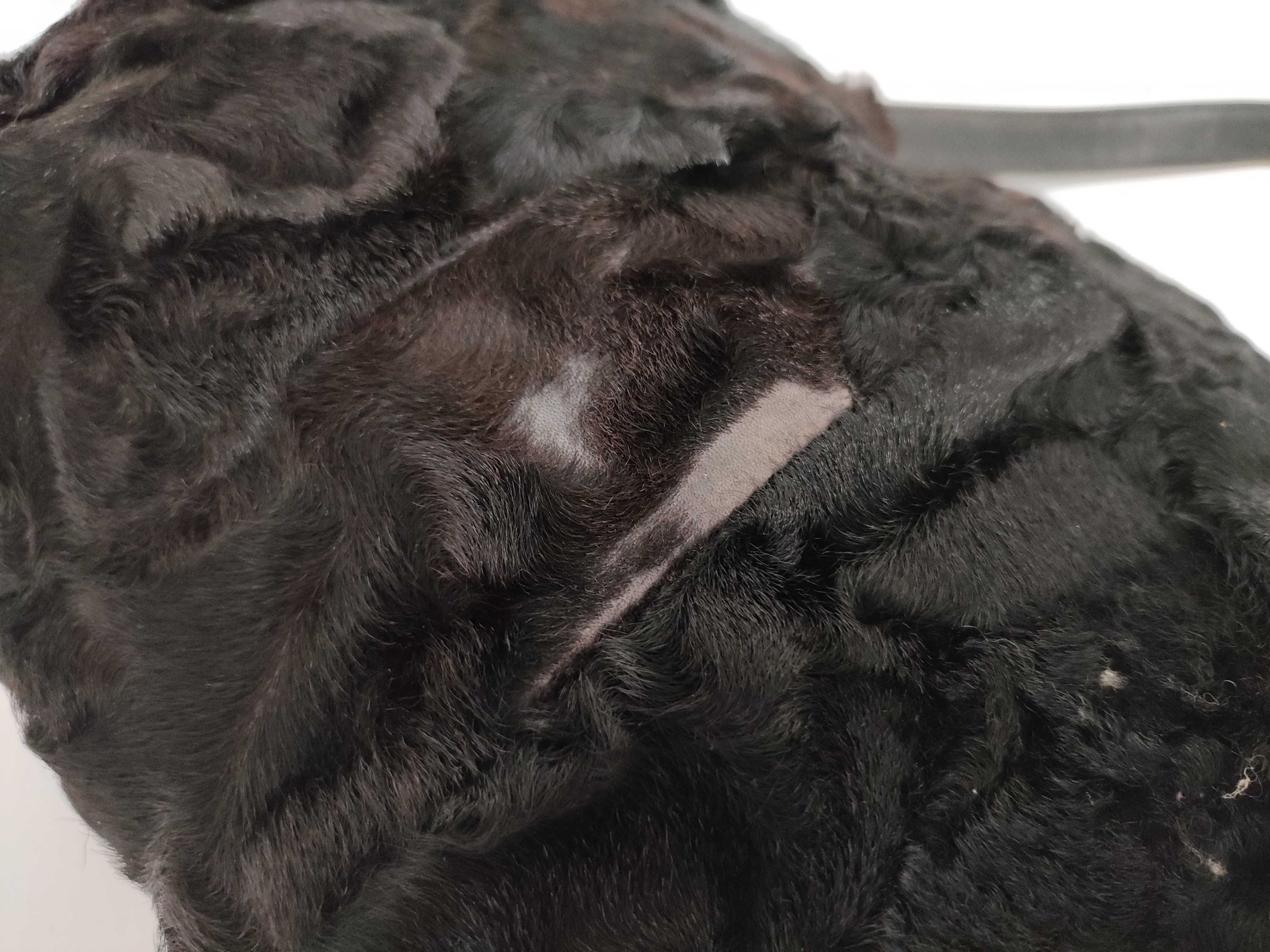 Rabbit Fur Leather Handle Black Handbag — view 8