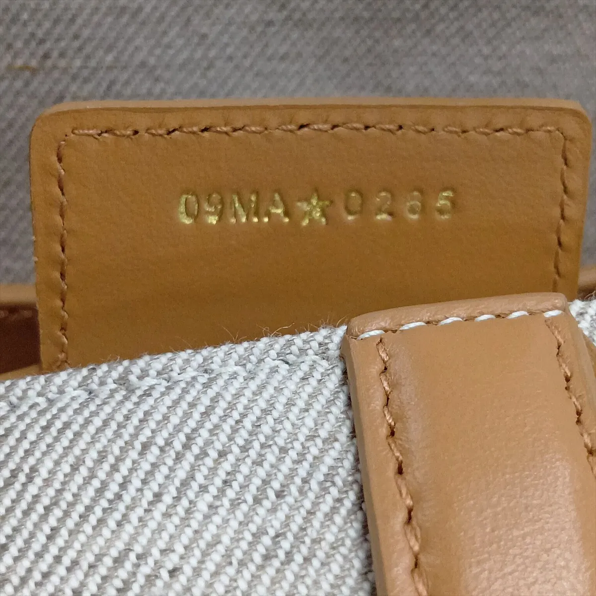 Saddle Canvas x Leather 2-Way Handbag, Beige, Star Mark — view 11