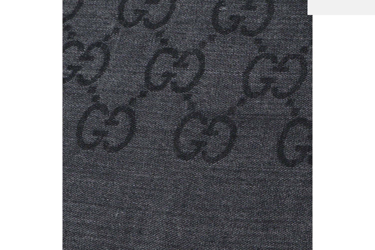 GG Canvas (Accessories) / Scarf — view 4