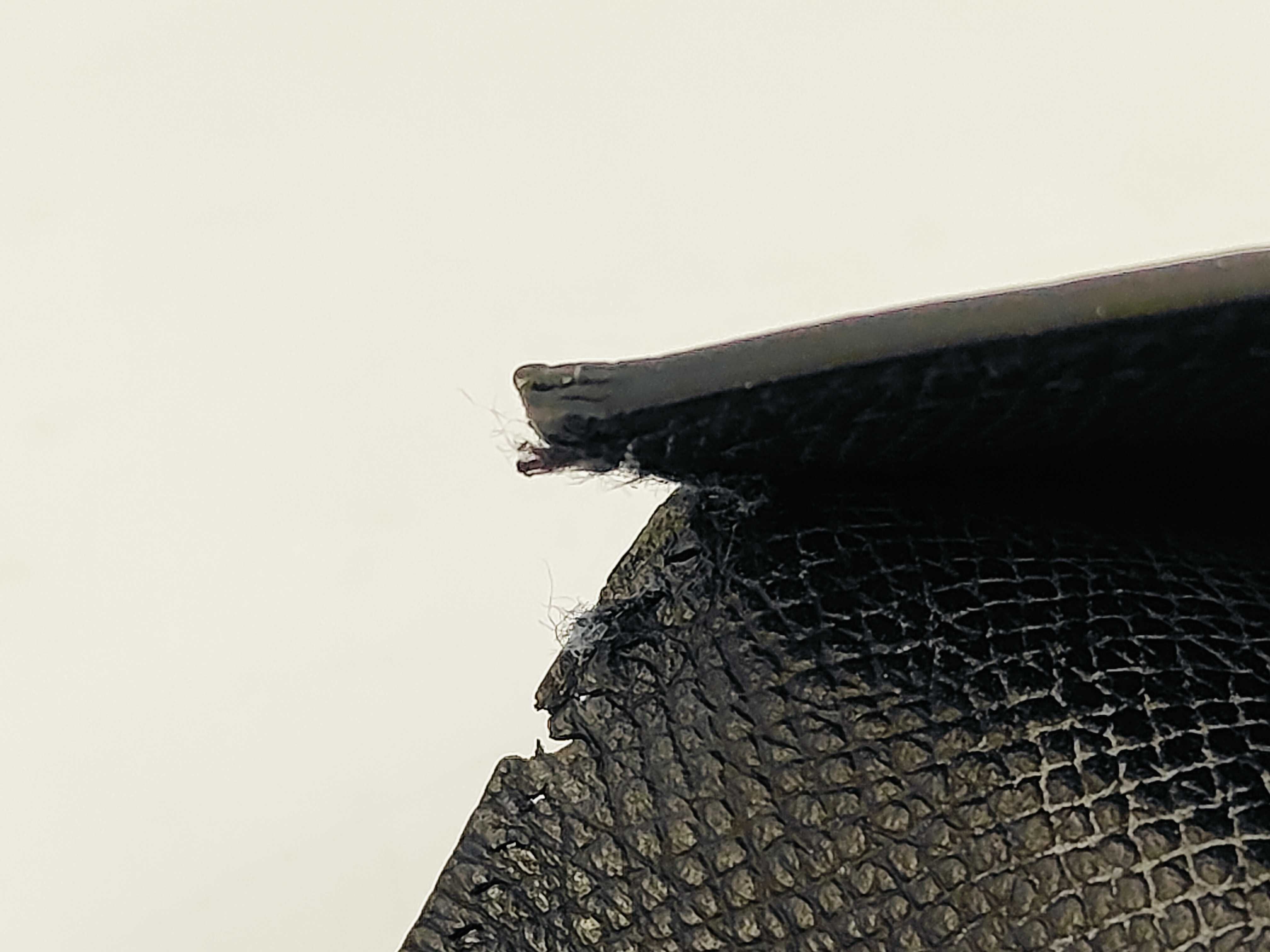 Bear Soufflé Fold Wallet Black C Engraved Wallet — view 13