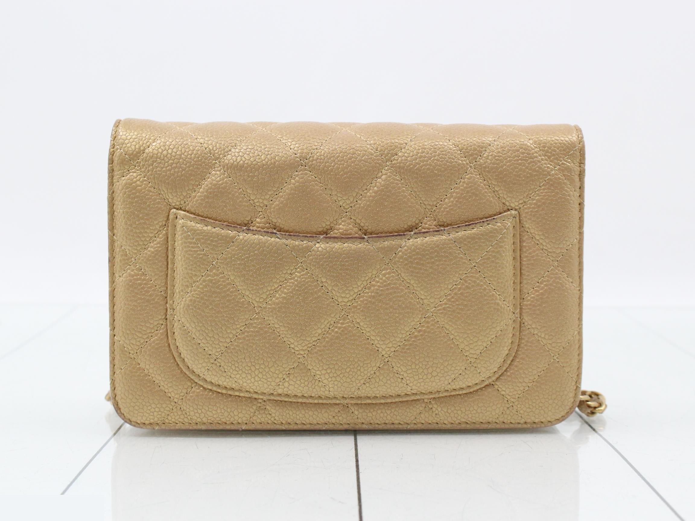 Matelassé Caviar Skin Chain Wallet — view 2