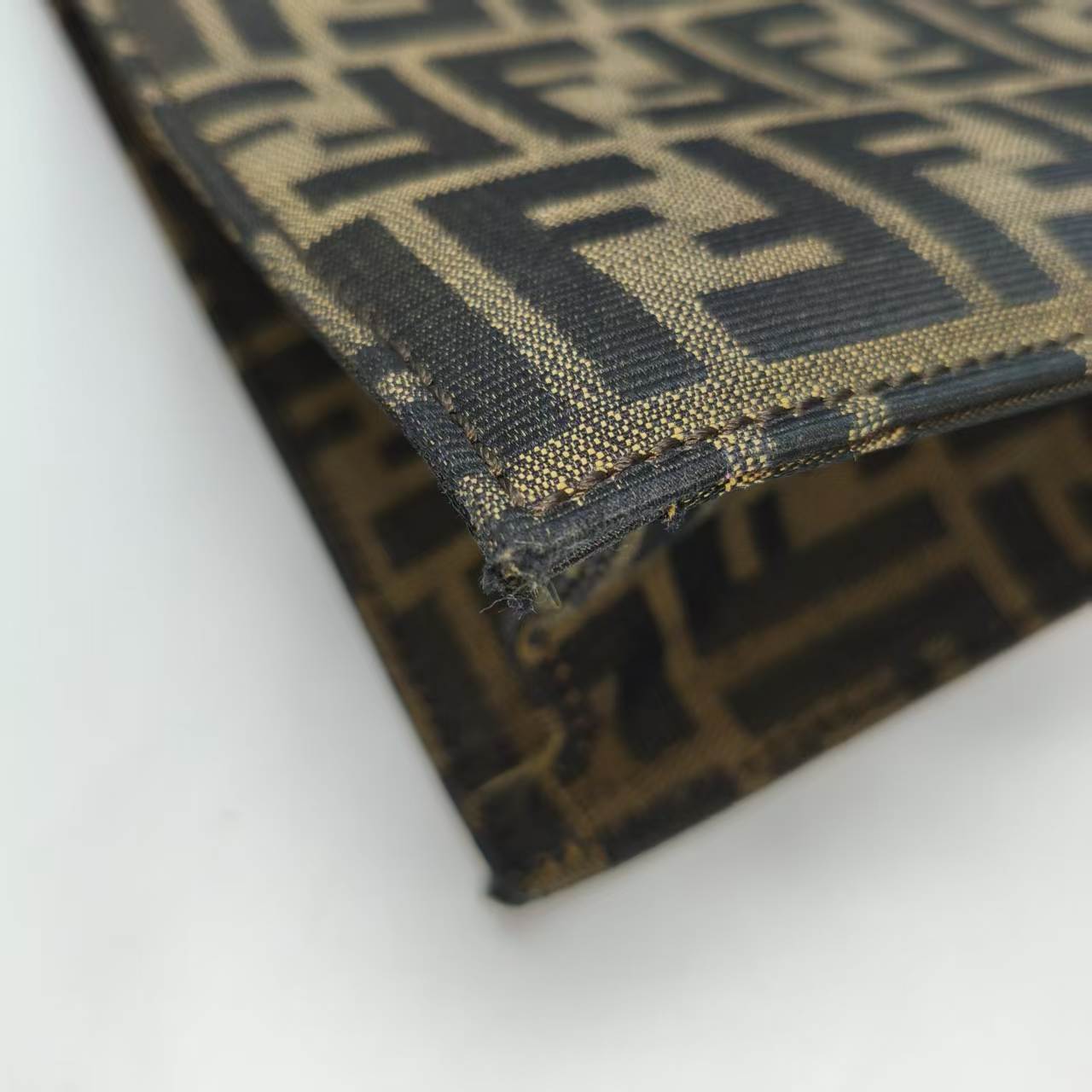 【*Shipped from: China*】FENDI Canvas Handbag — view 5
