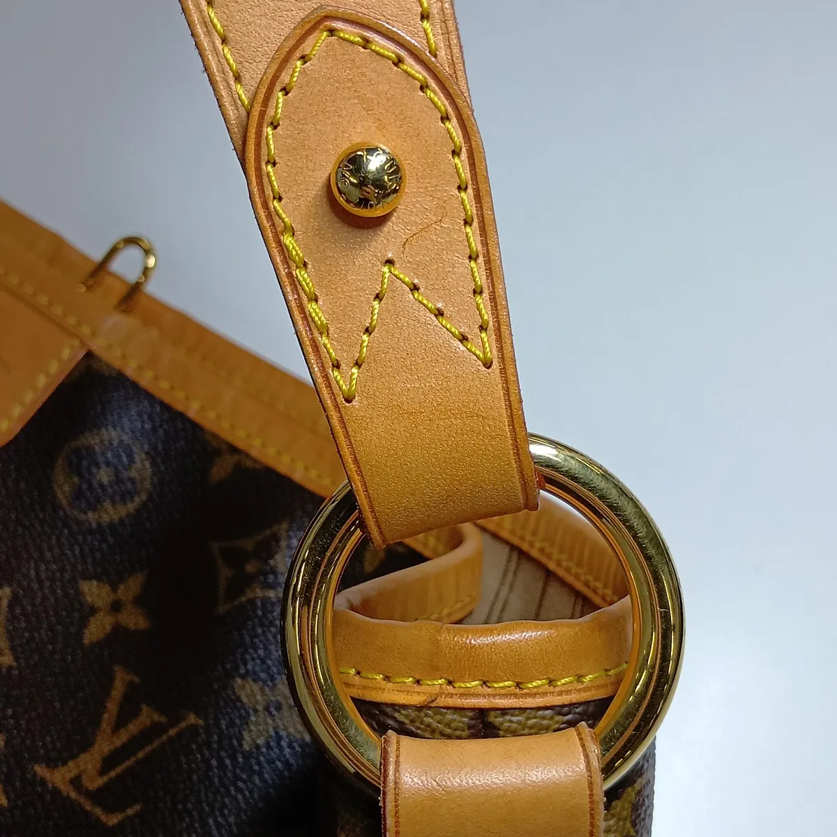 Monogram Delightful PM M40352 FL3160 Brown — view 11
