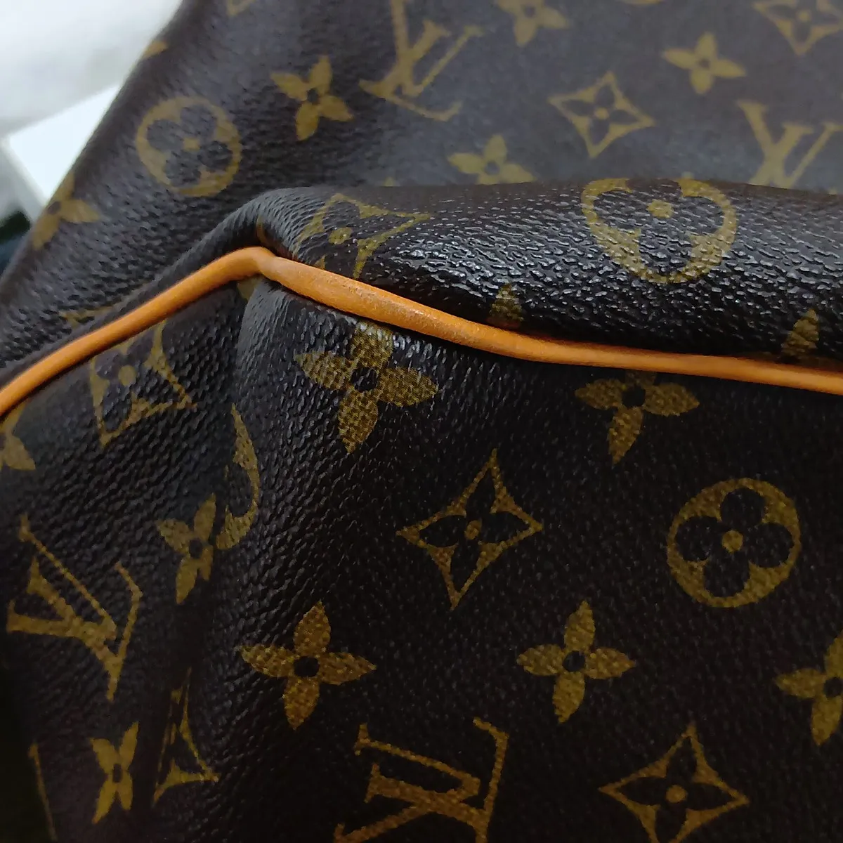 Monogram Delightful PM M40352 FL3160 Brown — view 12