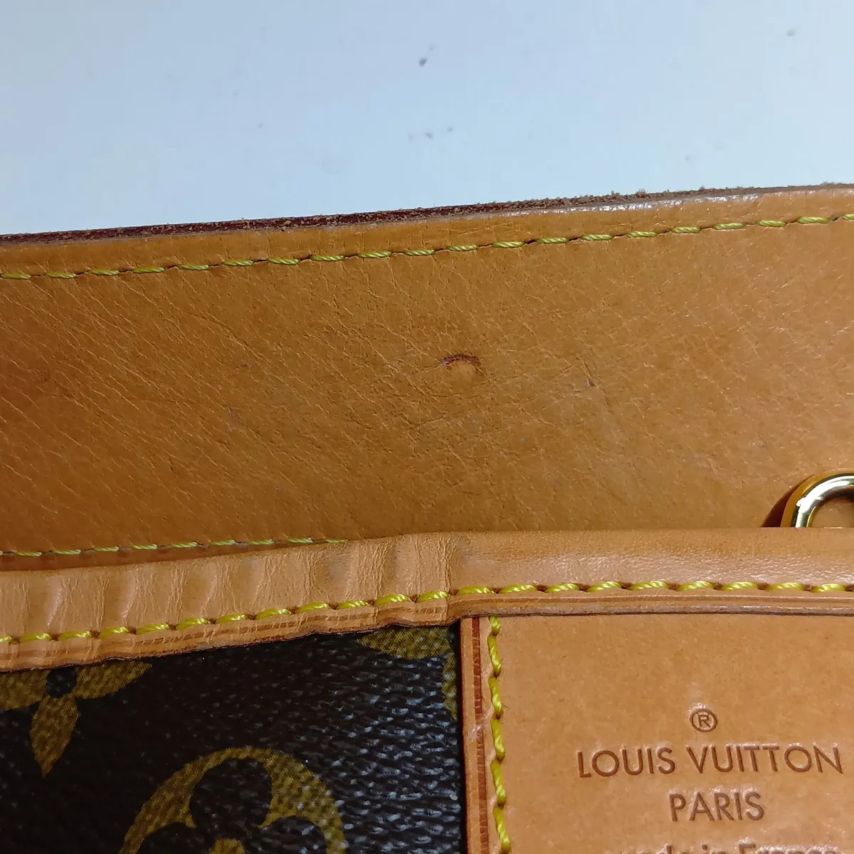 Monogram Delightful PM M40352 FL3160 Brown — view 10