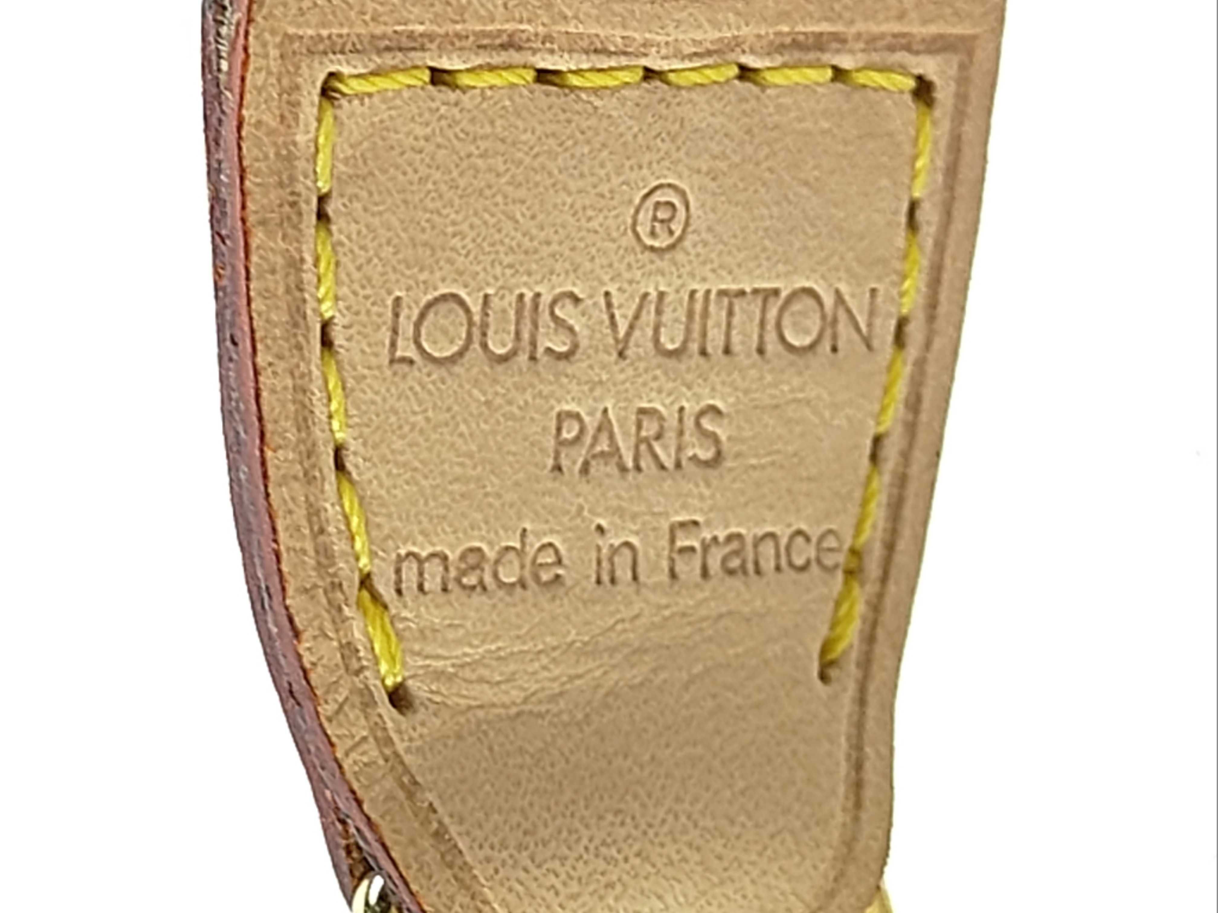 Monogram Panda Pochette Accessoires Shoulder Bag — view 9