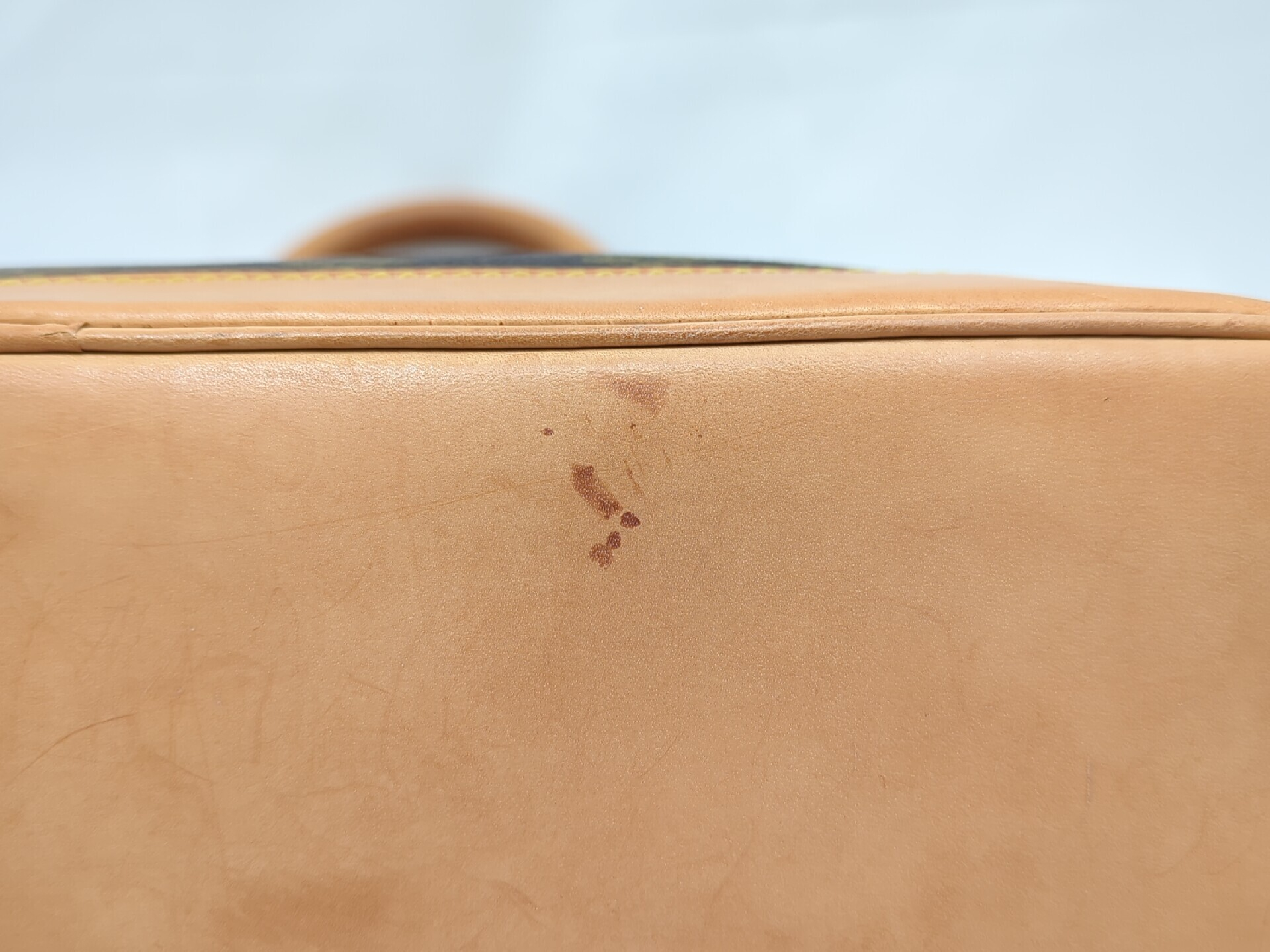 M51130 Monogram Alma Handbag — view 14