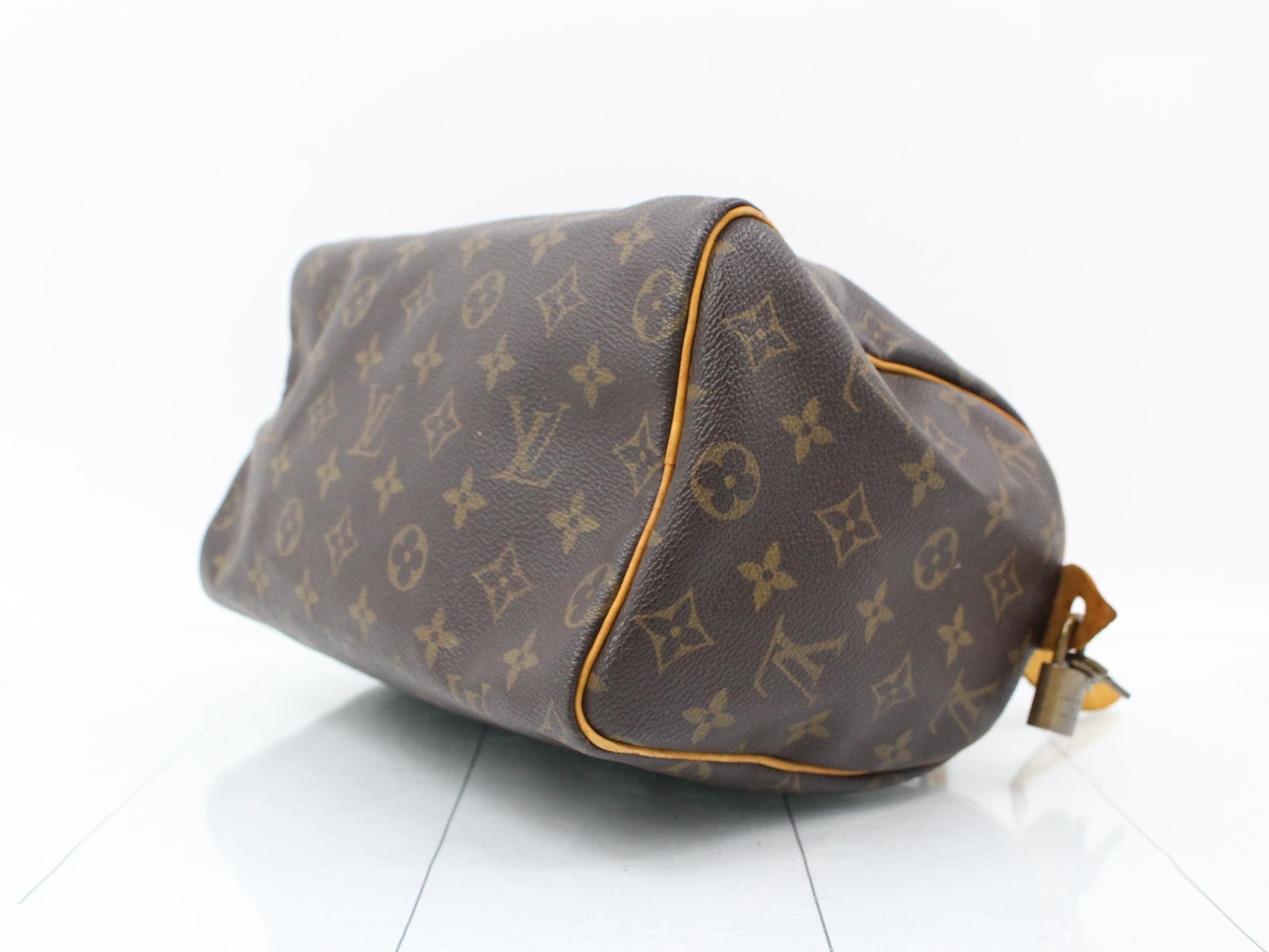 Monogram Speedy 25 Handbag — view 6