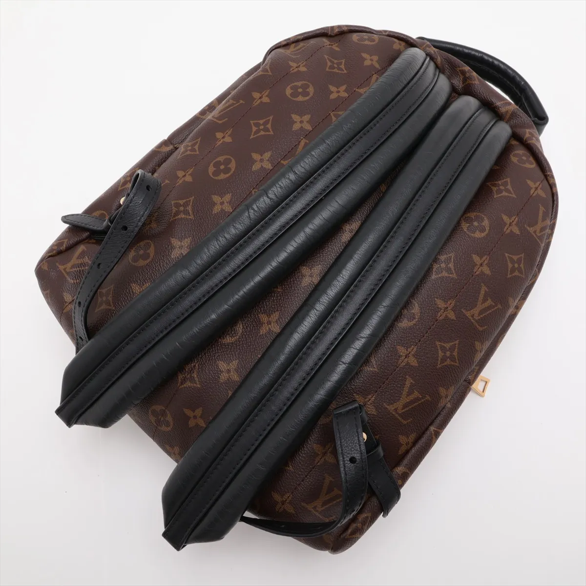 Monogram Palm Springs Backpack MM M44874 PI3106 Brown — view 5