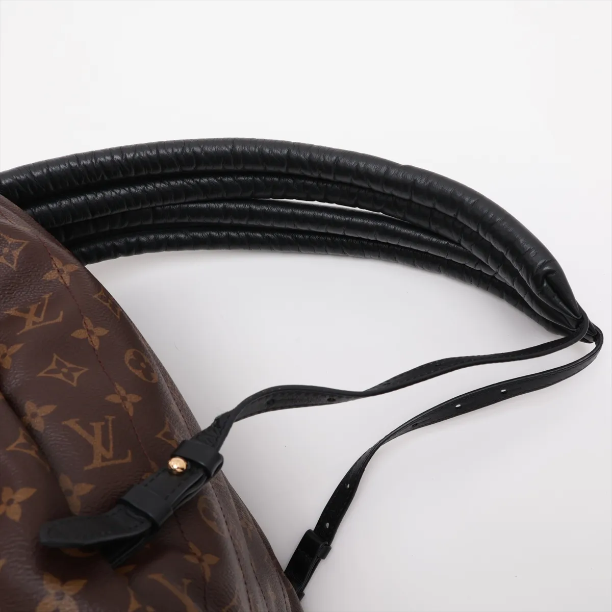 Monogram Palm Springs Backpack MM M44874 PI3106 Brown — view 6
