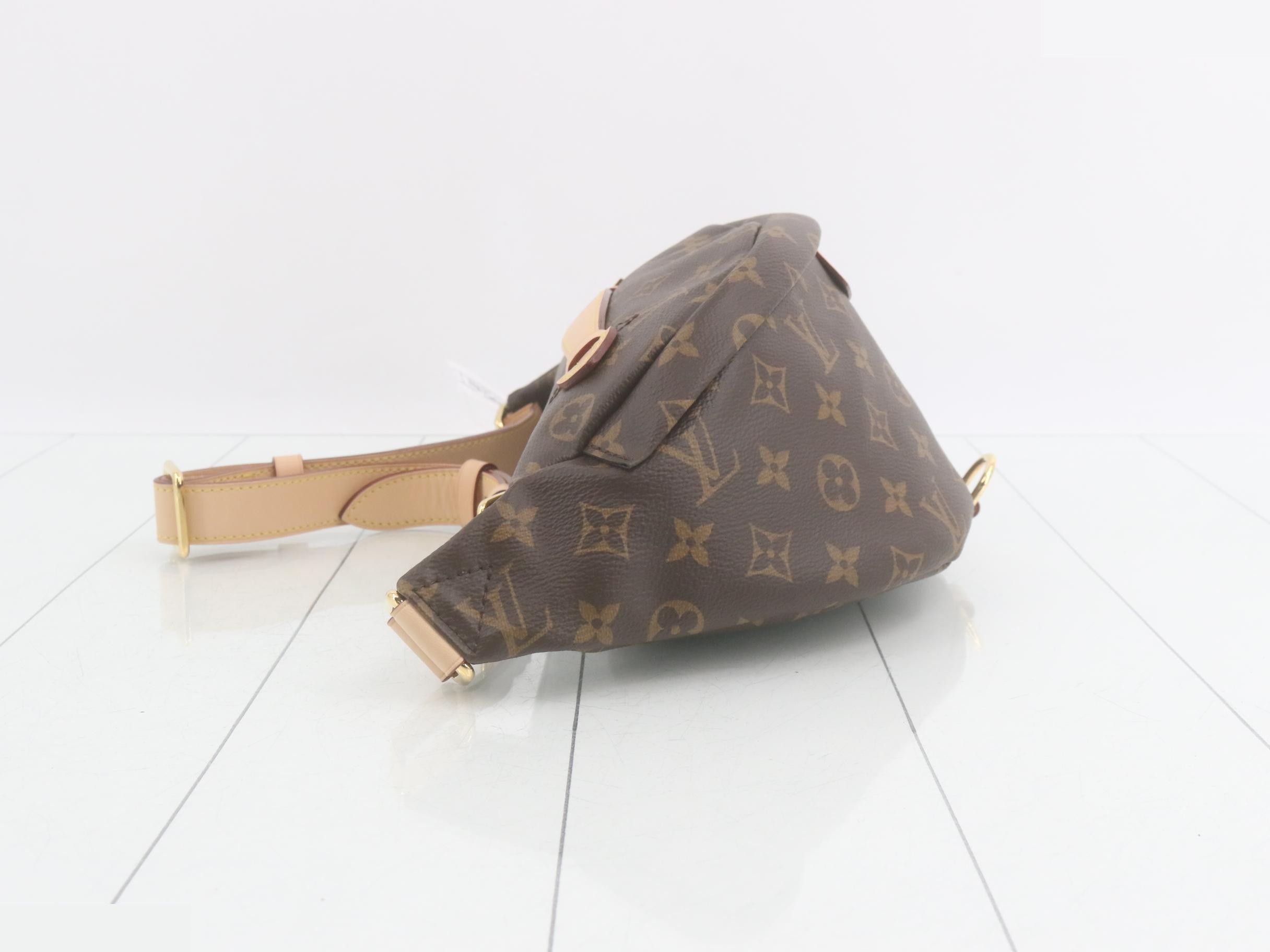 Monogram Bum Bag Waist Bag — view 4