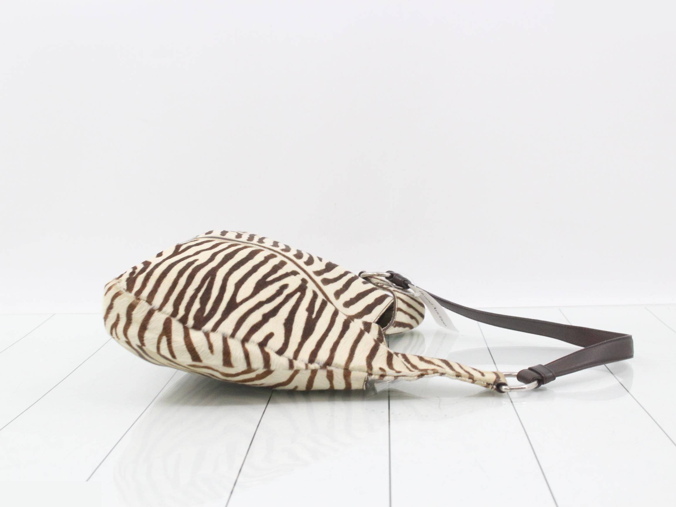 Zebra — view 3