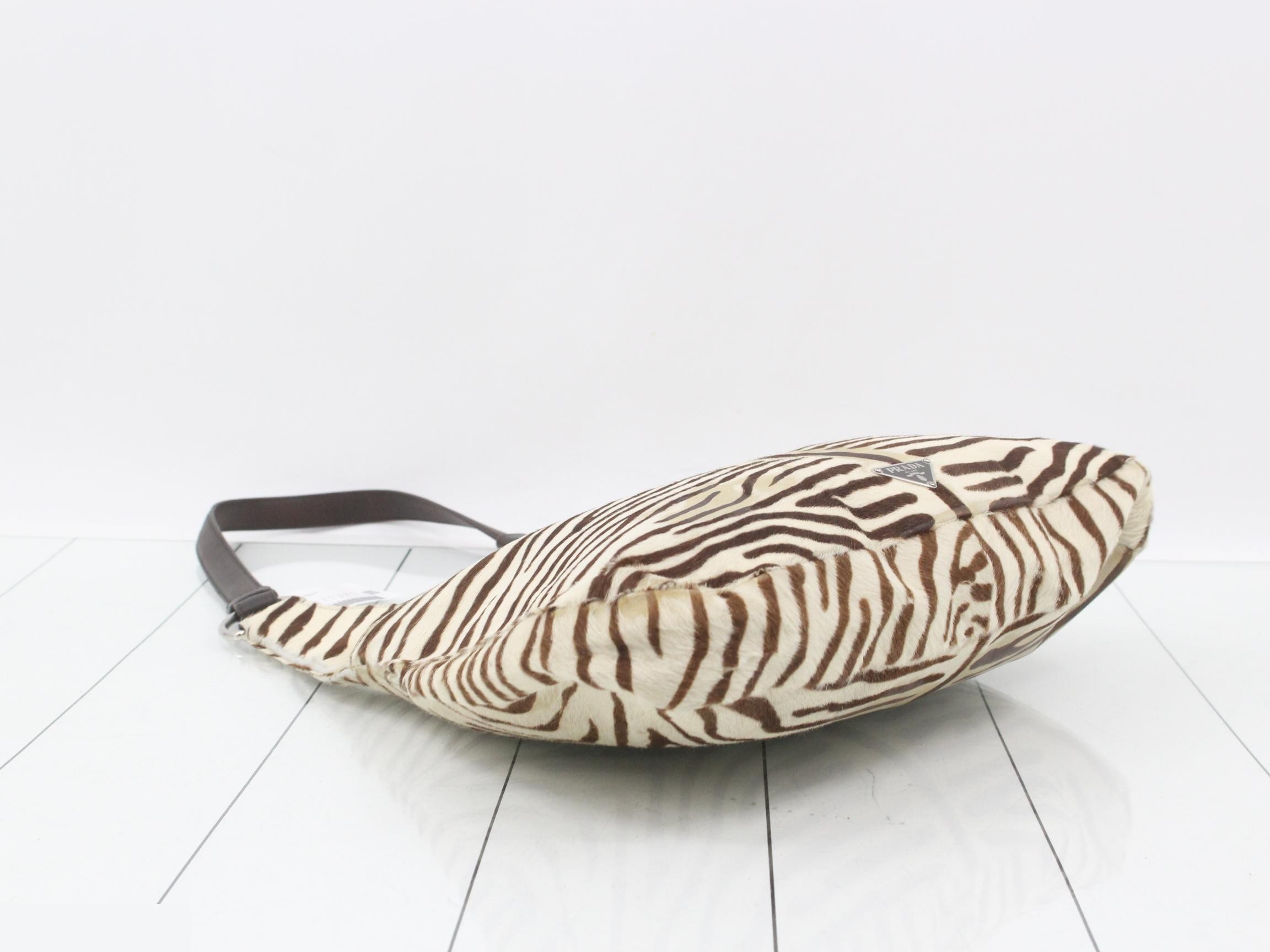 Zebra — view 5