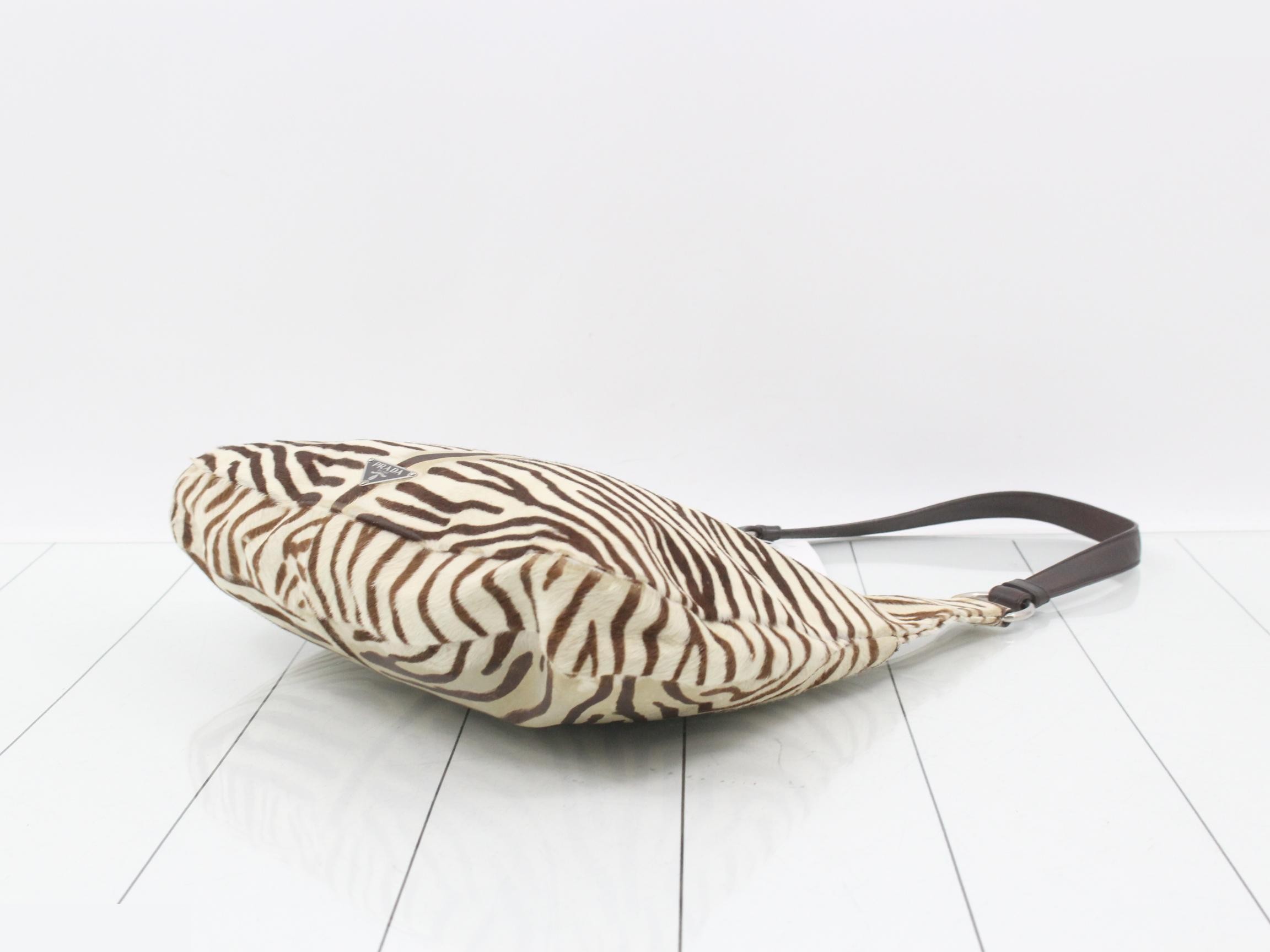Zebra — view 6