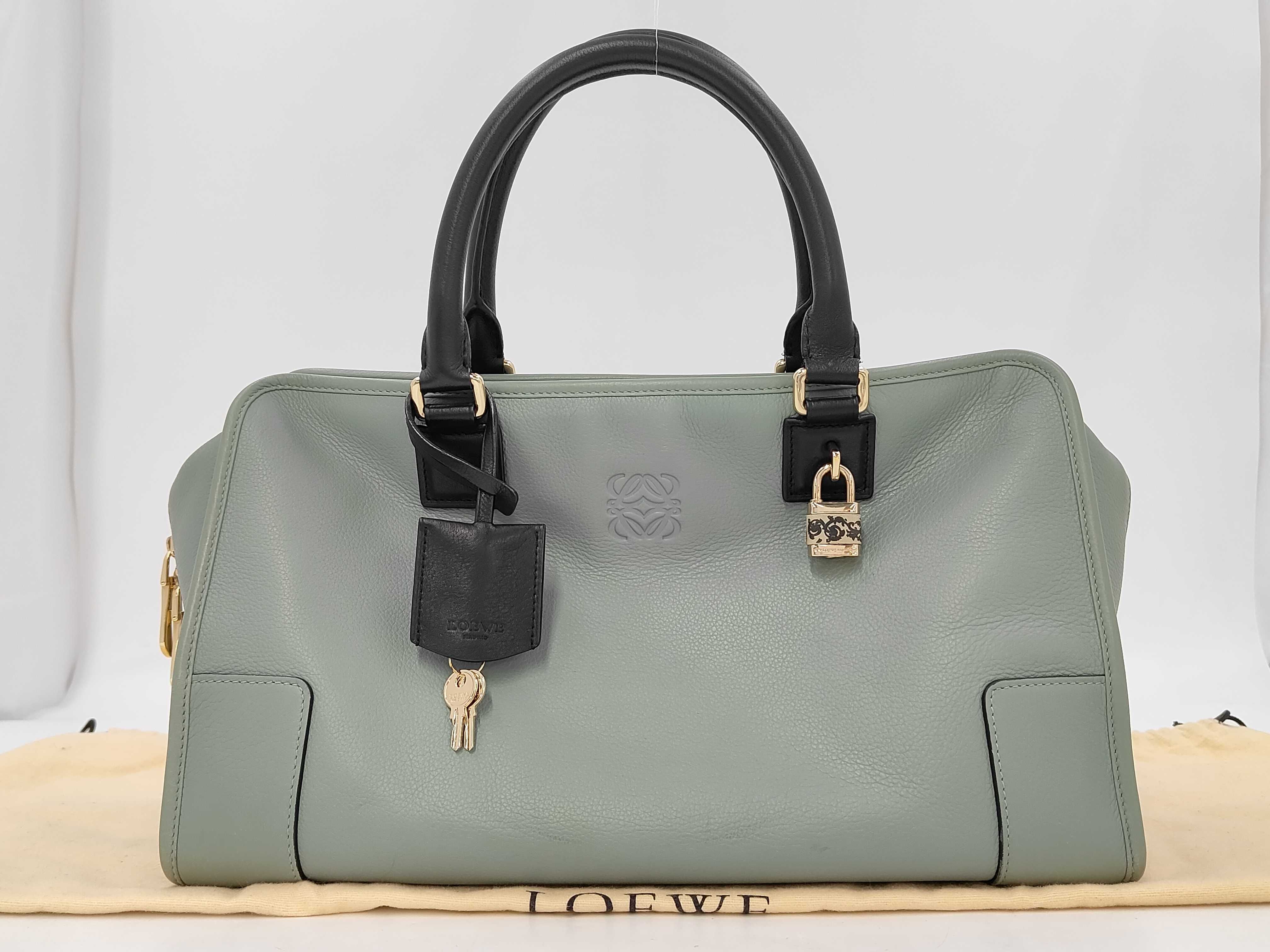 Amazona 36 Bicolor Handbag