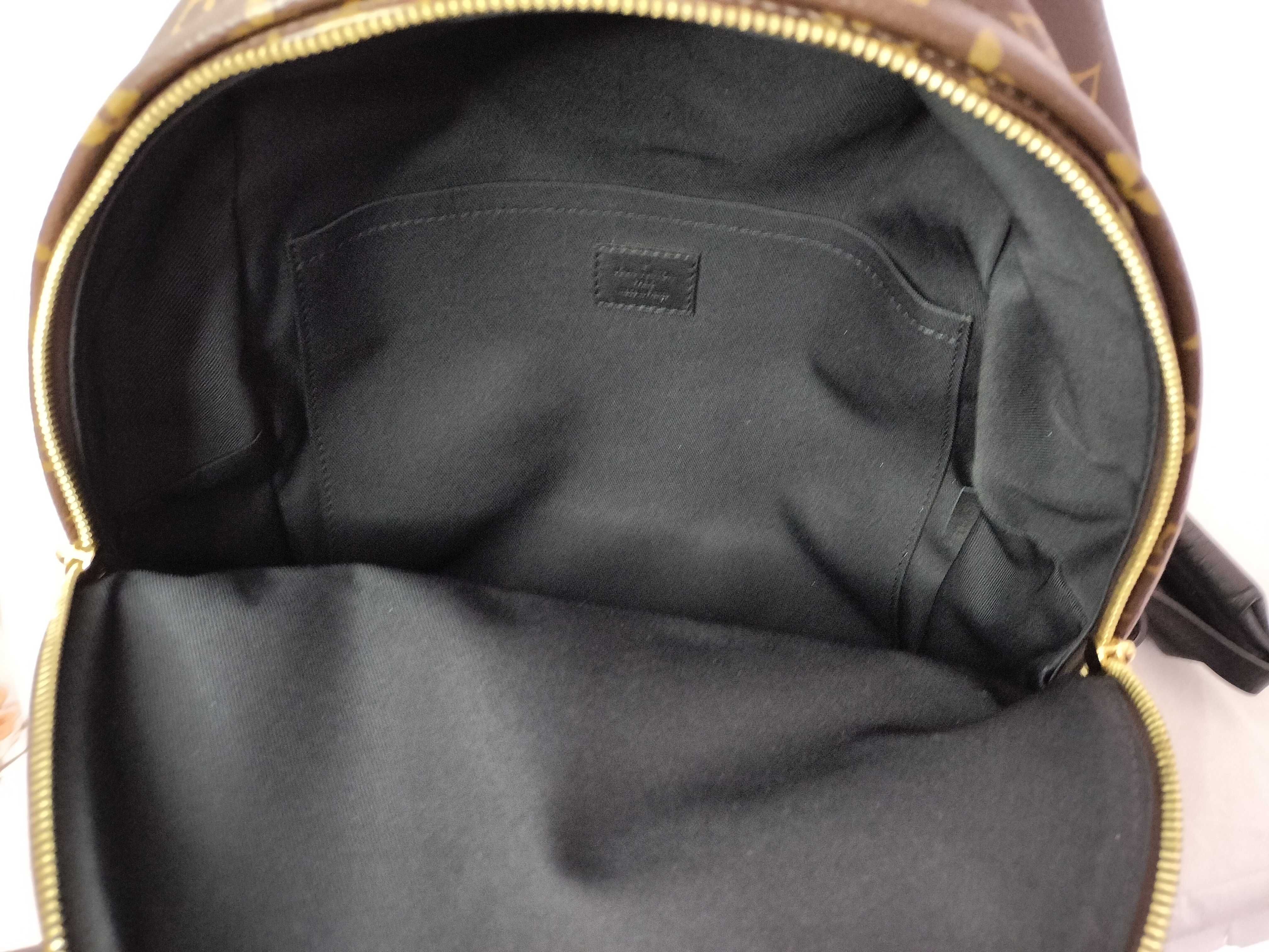 Monogram DU- Monogram Palm Springs Backpack PM M41560 Backpack — view 14