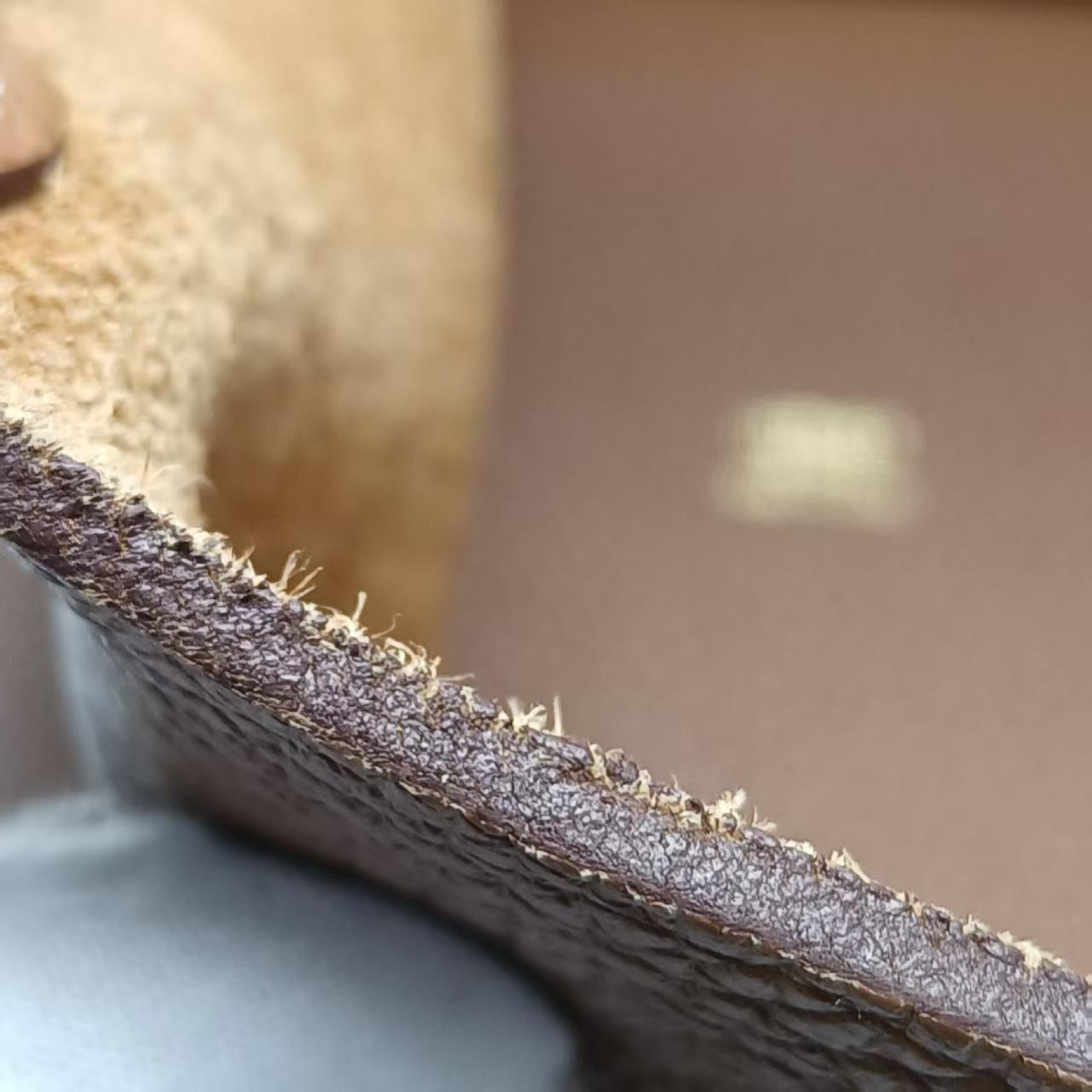 Picotan Cowhide Handbag (Image Blurry) Handbag — view 13