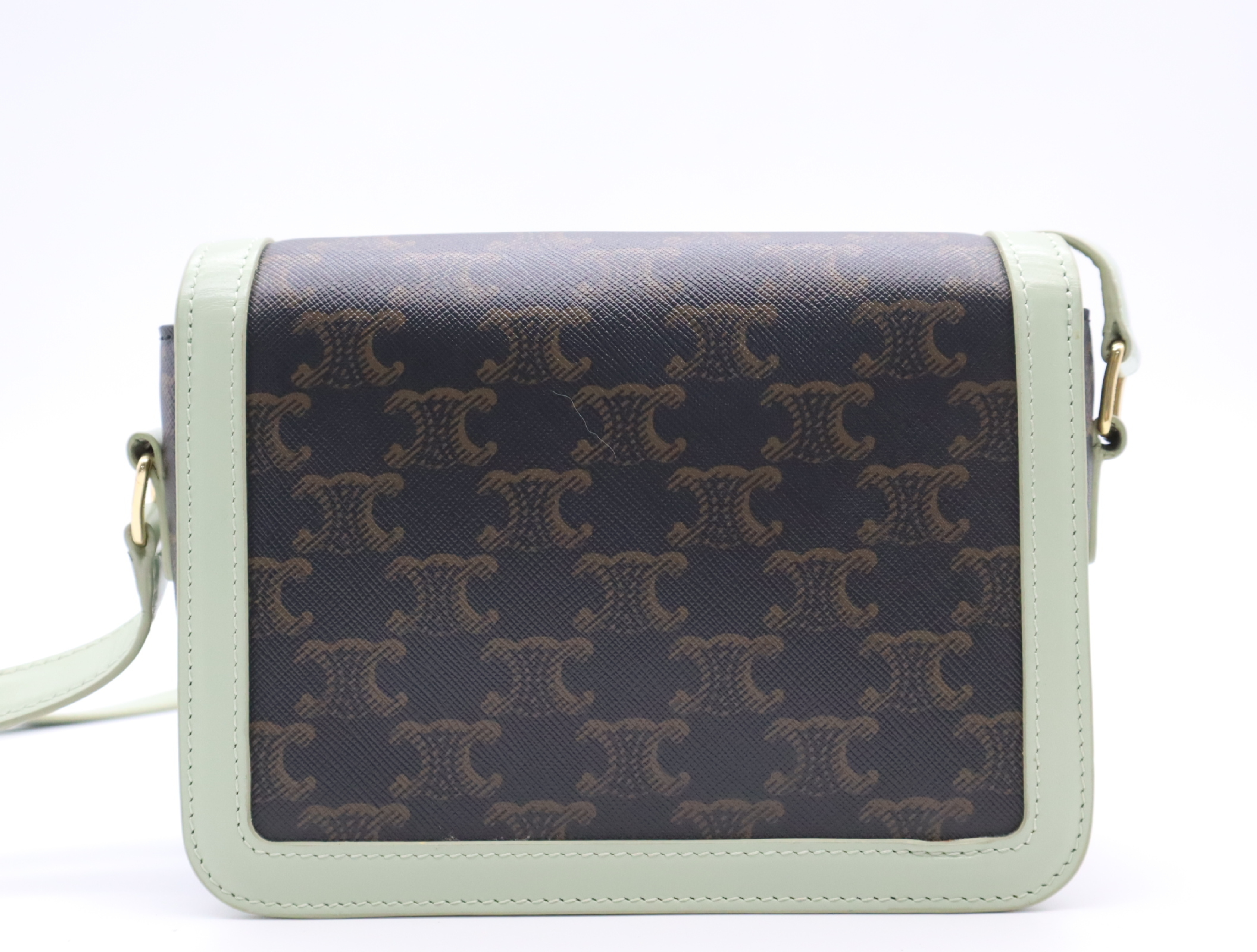 PVC x Leather Triomphe Shoulder Bag (Green/Brown) — view 2