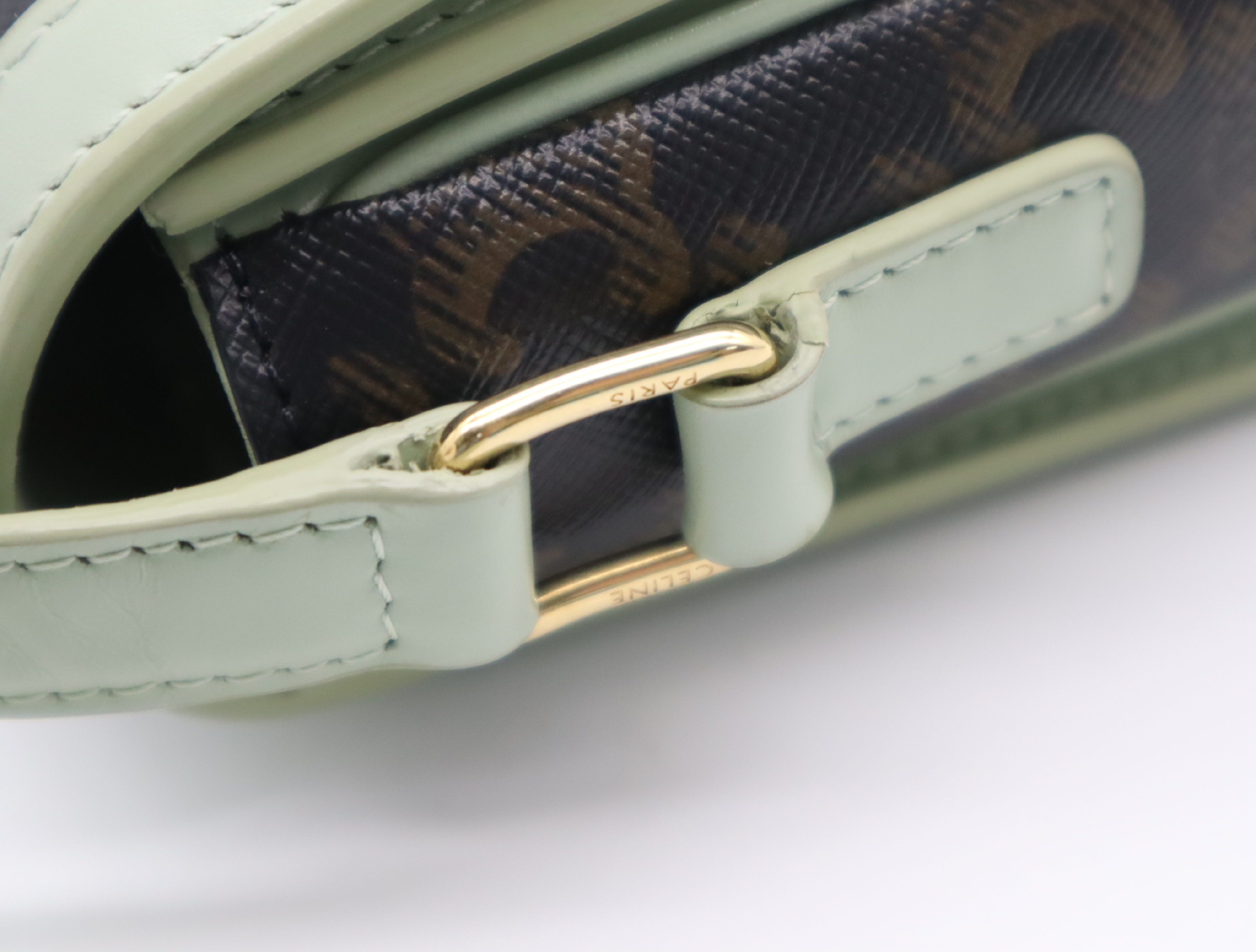 PVC x Leather Triomphe Shoulder Bag (Green/Brown) — view 11