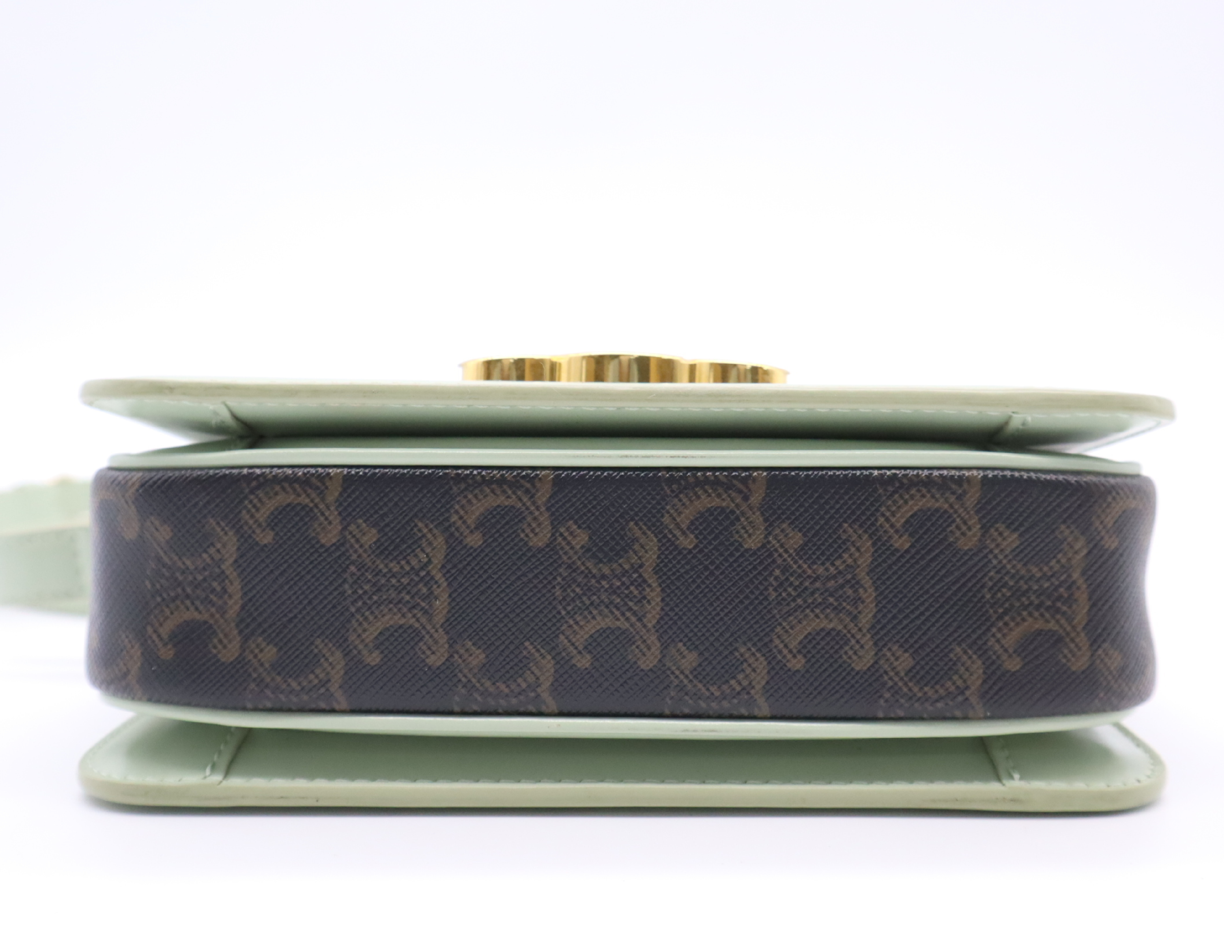PVC x Leather Triomphe Shoulder Bag (Green/Brown) — view 4
