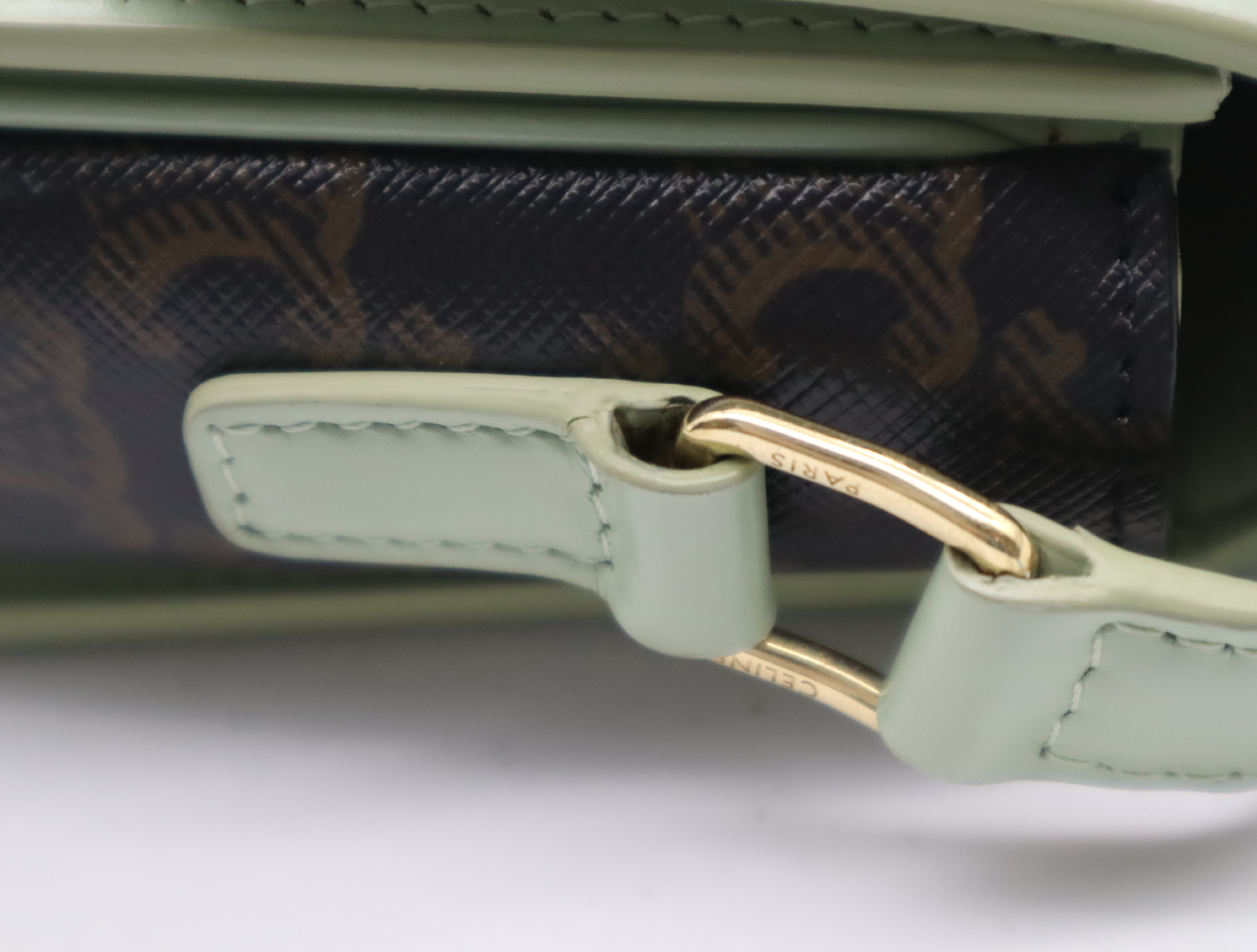 PVC x Leather Triomphe Shoulder Bag (Green/Brown) — view 8