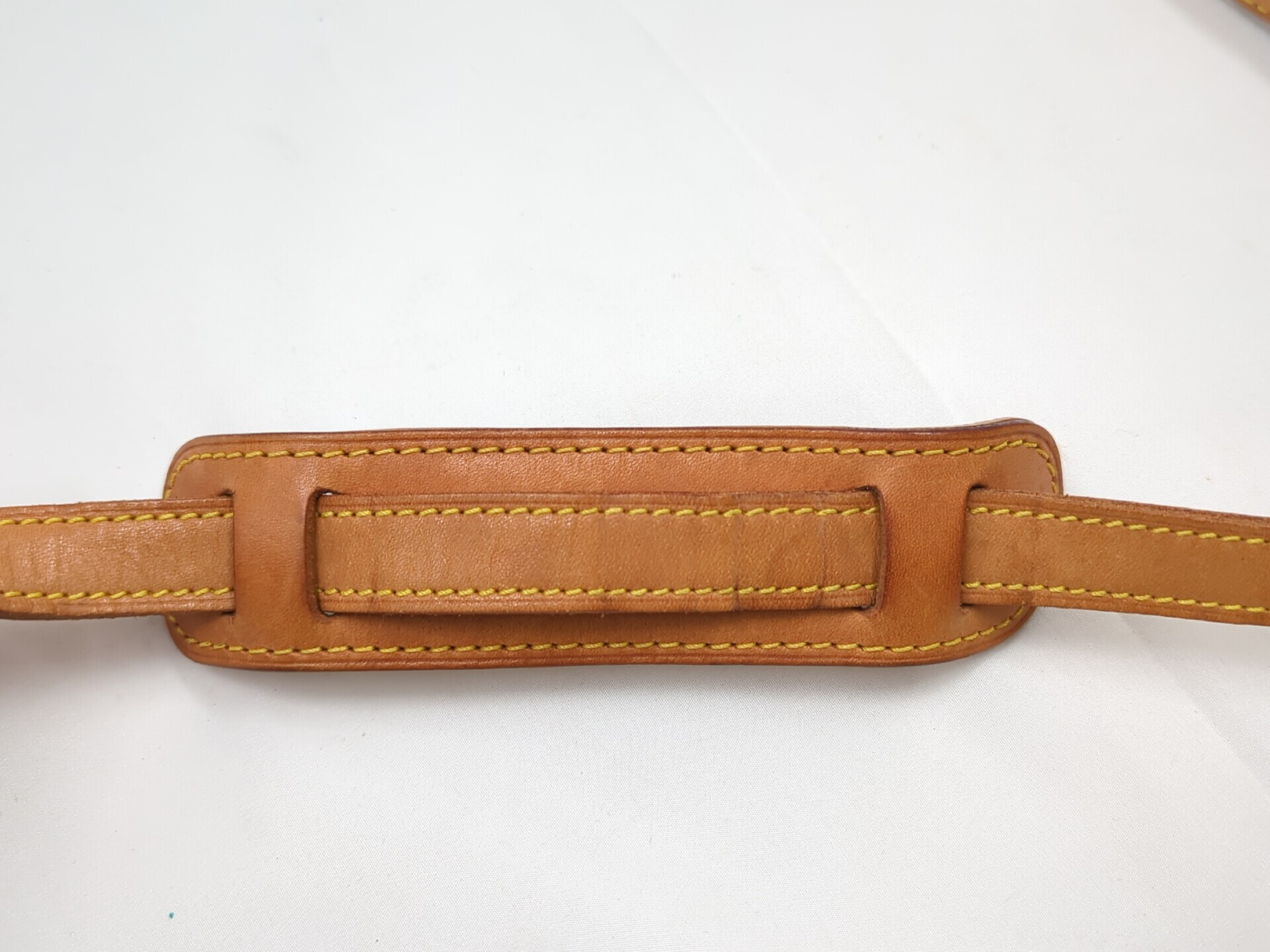 M42250 Monogram Sologne Shoulder Bag — view 14